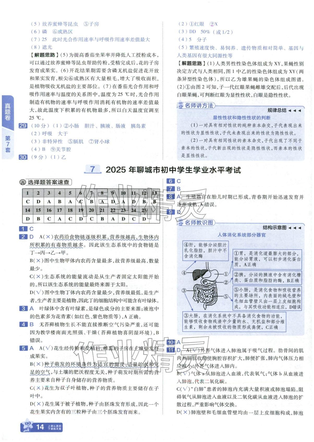 2026年金考卷中考試題匯編45套生物山東專版&nbsp;第14頁