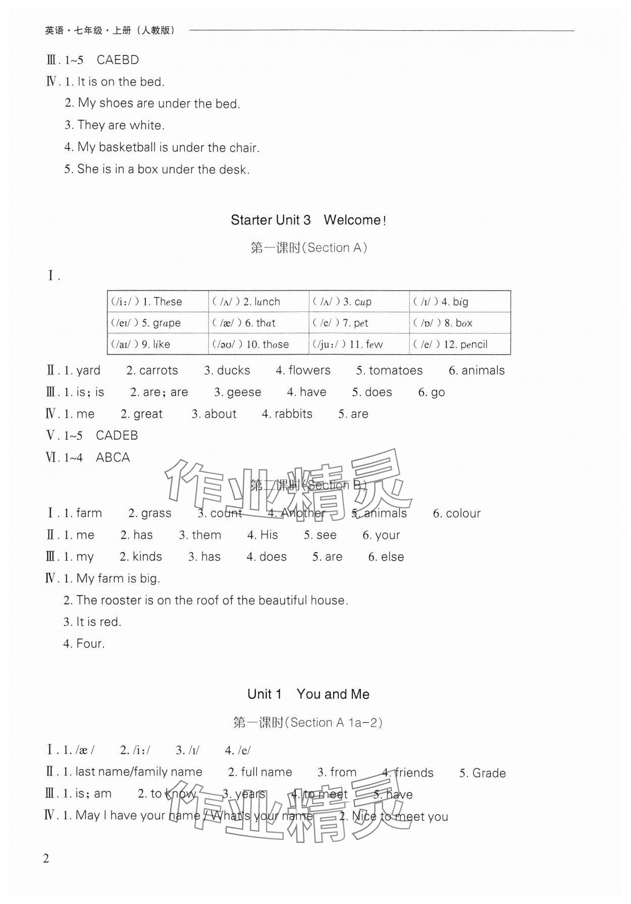 2024年新課程問題解決導(dǎo)學(xué)方案七年級英語上冊人教版 參考答案第2頁