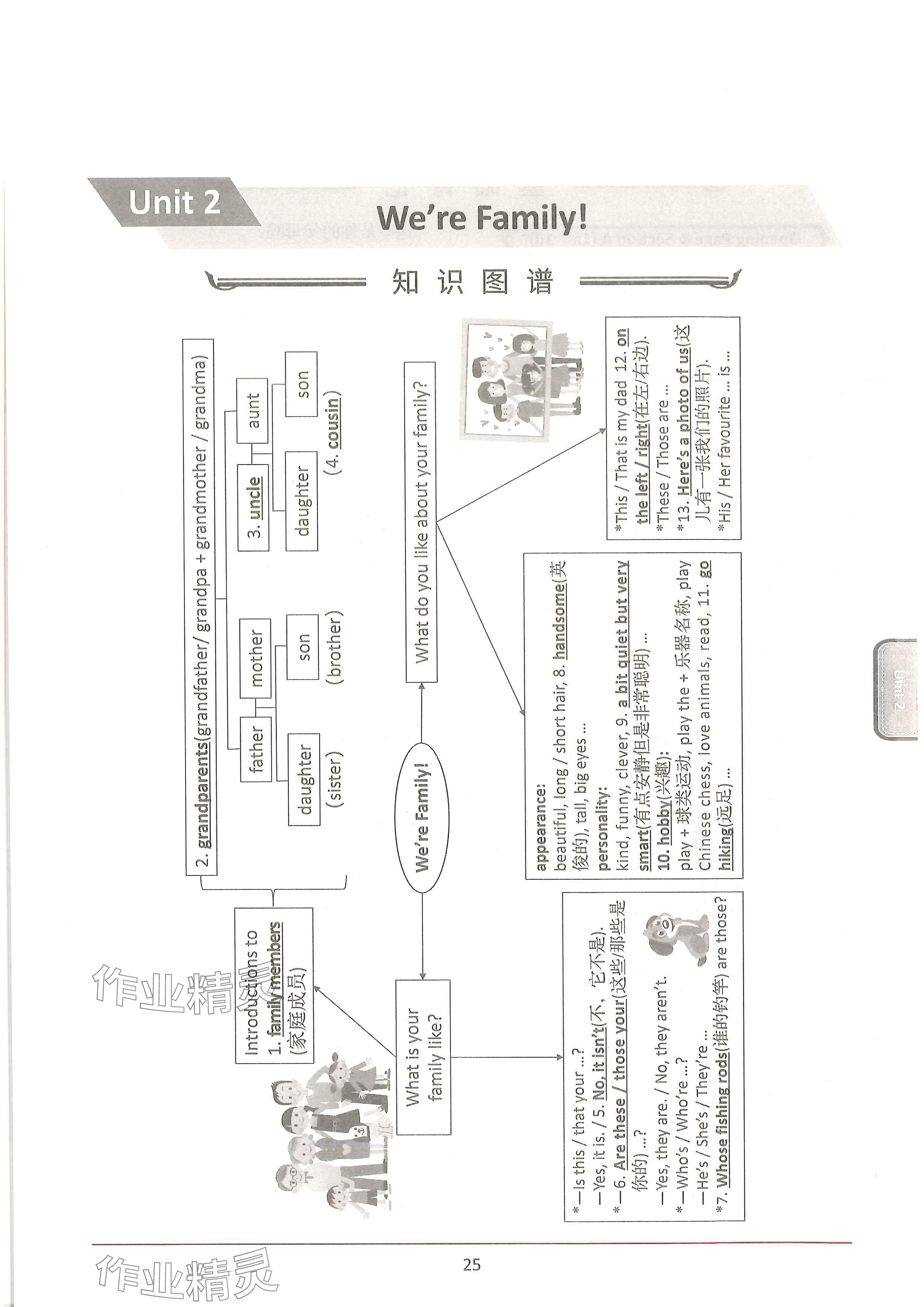 2024年新视界单元复习七年级英语上册人教版&nbsp;参考答案第25页