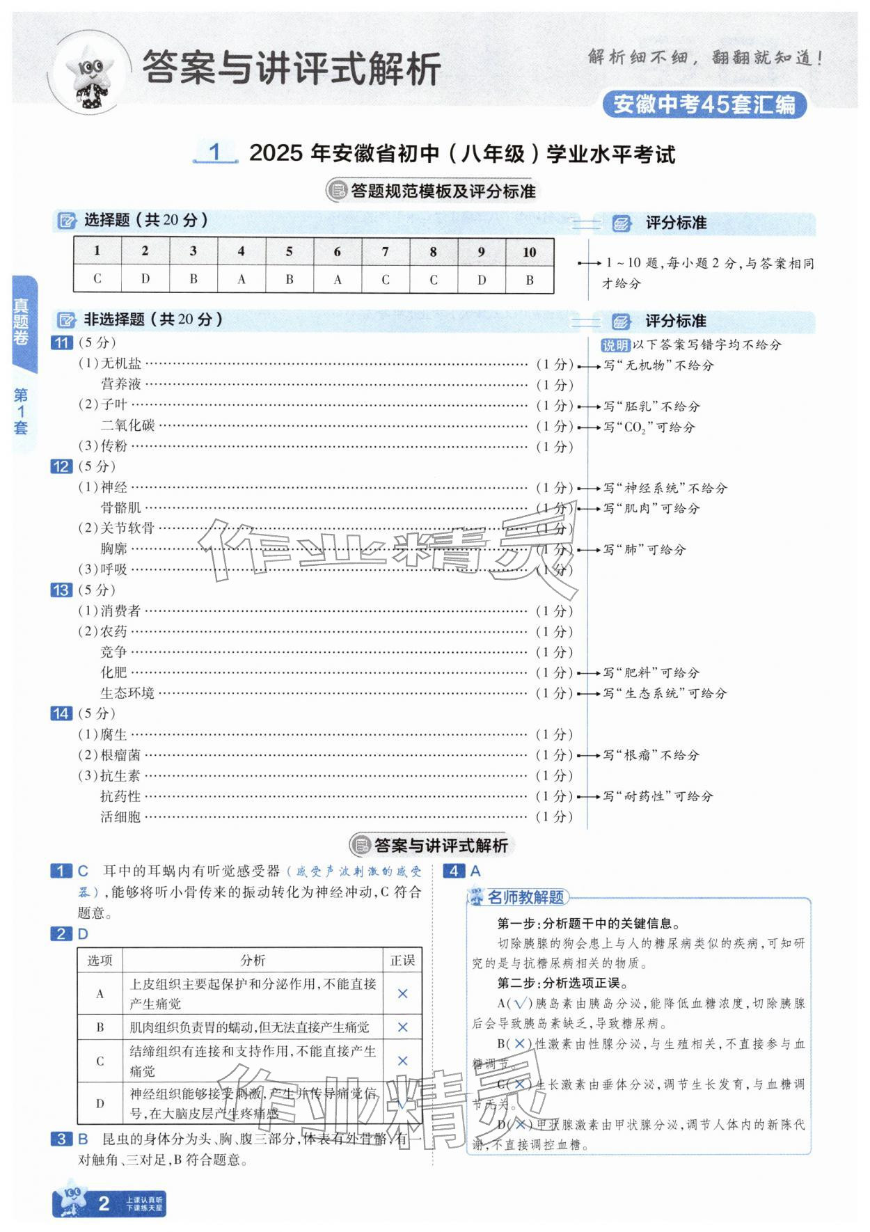 2026年金考卷45套汇编生物安徽专版&nbsp;参考答案第1页