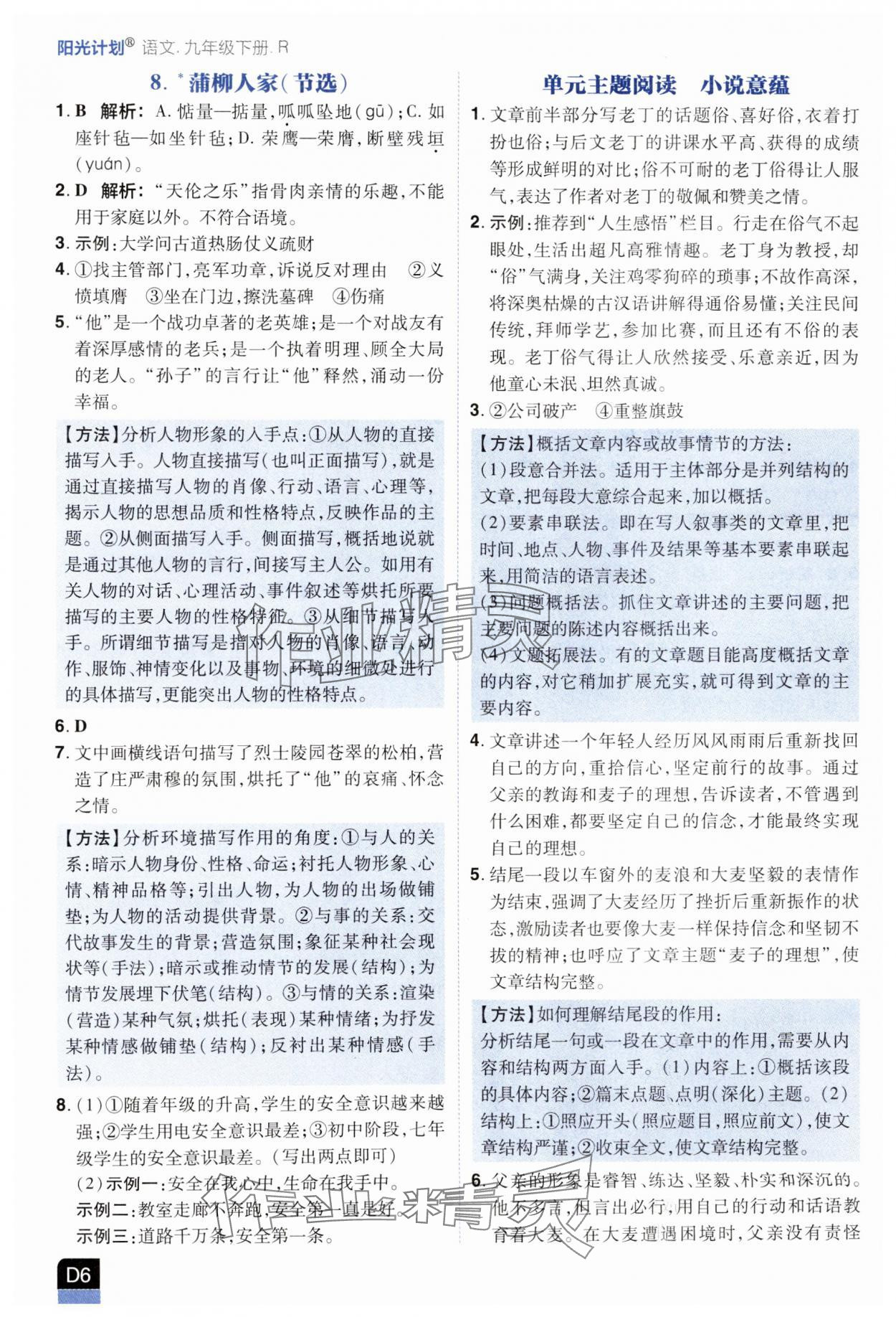 2025年陽(yáng)光計(jì)劃優(yōu)等生進(jìn)階特訓(xùn)九年級(jí)語(yǔ)文下冊(cè)人教版 第6頁(yè)