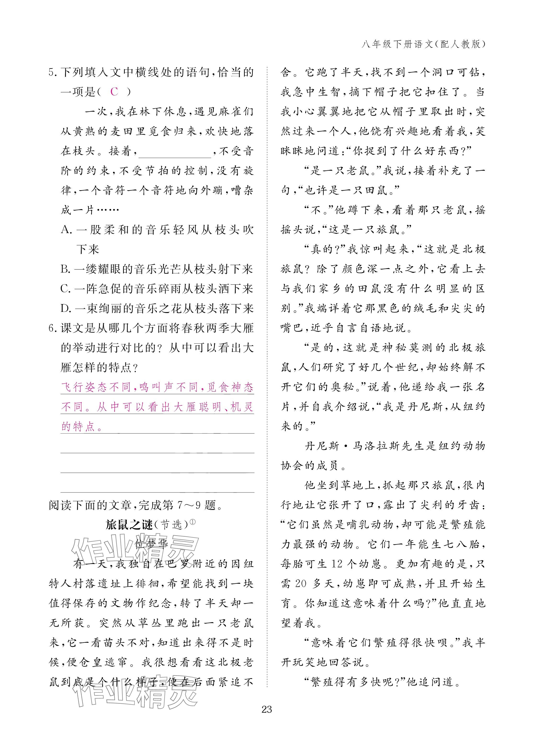 2025年作业本江西教育出版社八年级语文下册人教版 参考答案第23页
