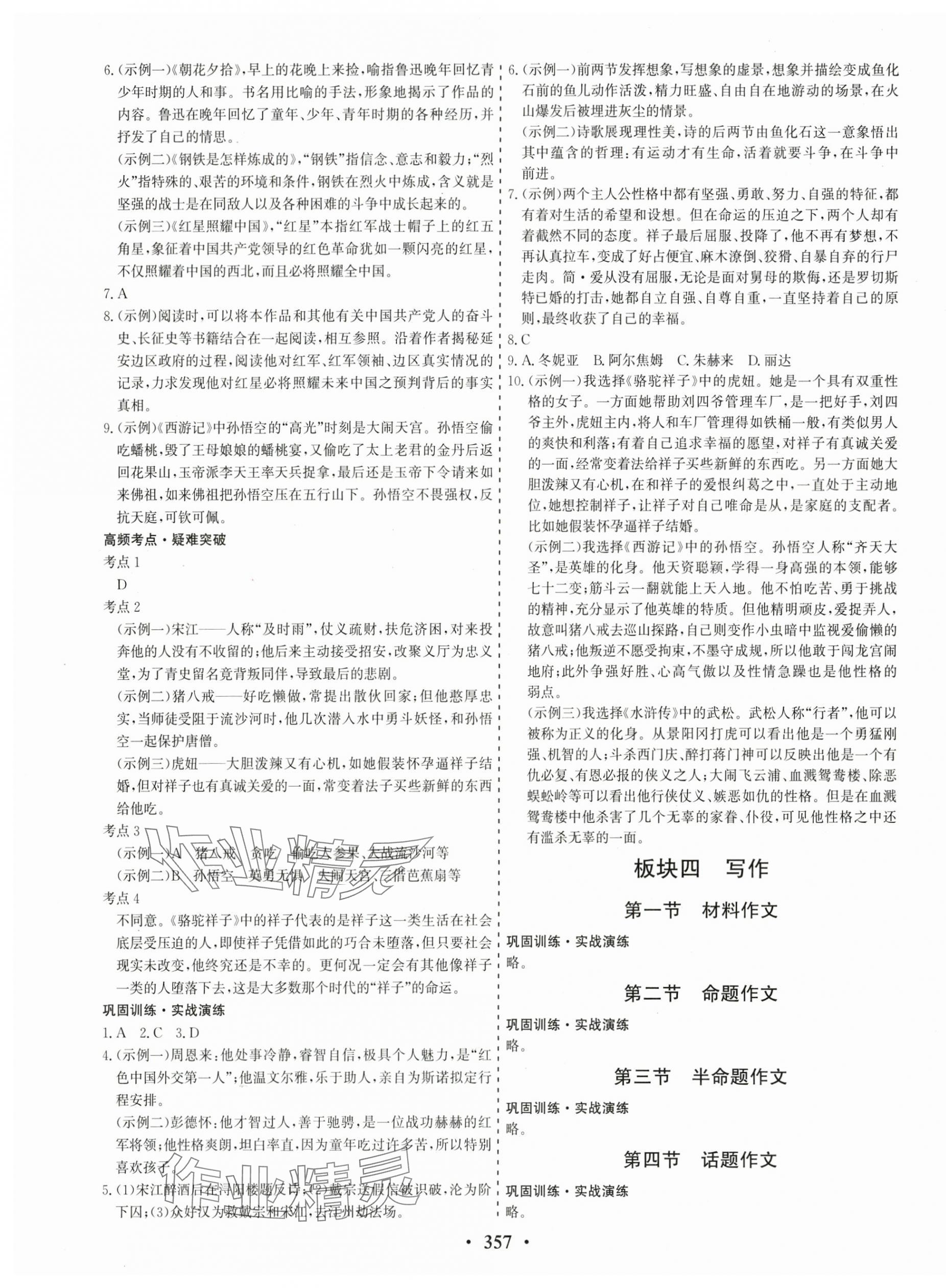 2024年優(yōu)化探究中考總復(fù)習(xí)語文江西專版 第9頁