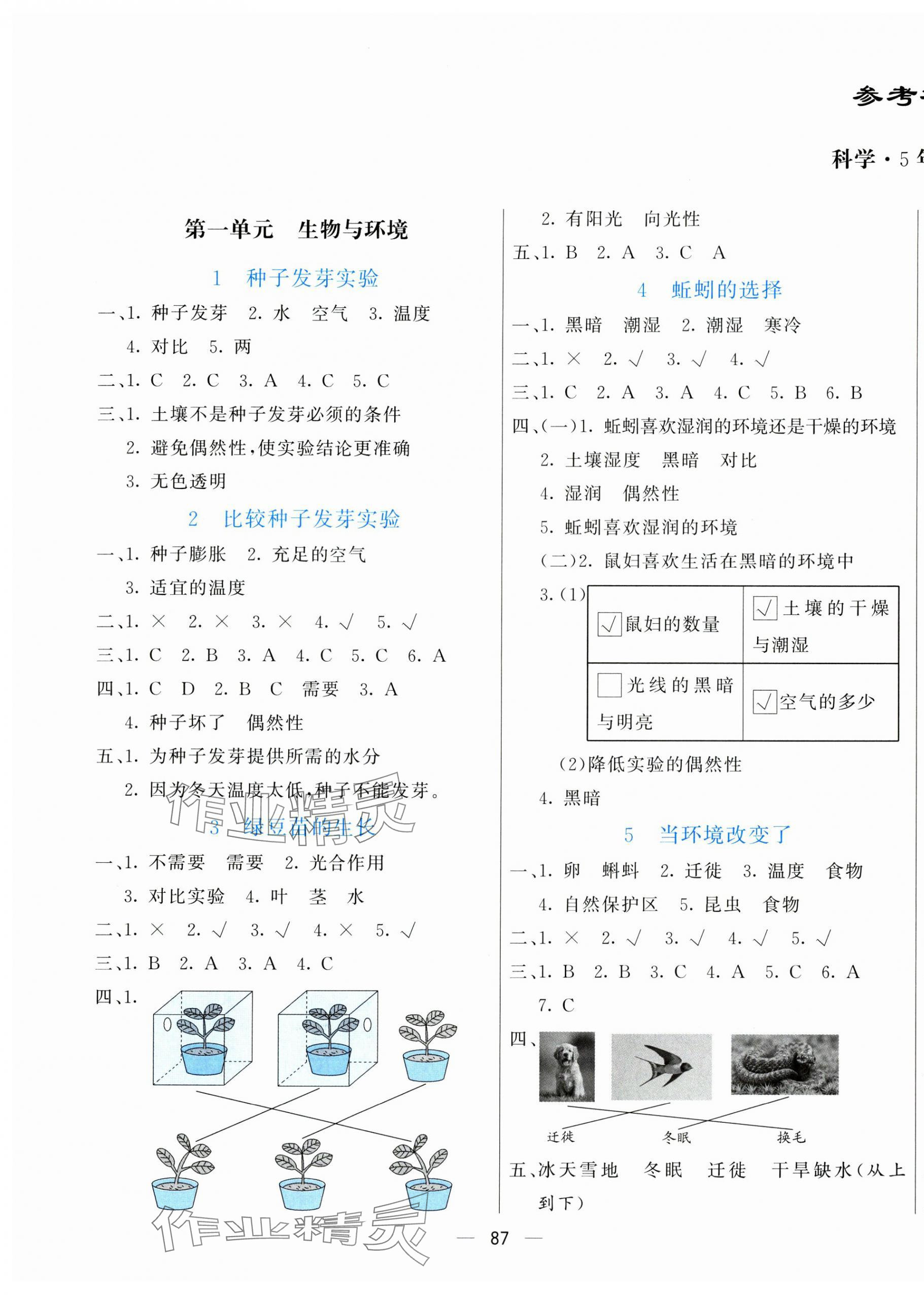 2025年亮點(diǎn)激活提優(yōu)天天練五年級(jí)科學(xué)下冊教科版 第1頁