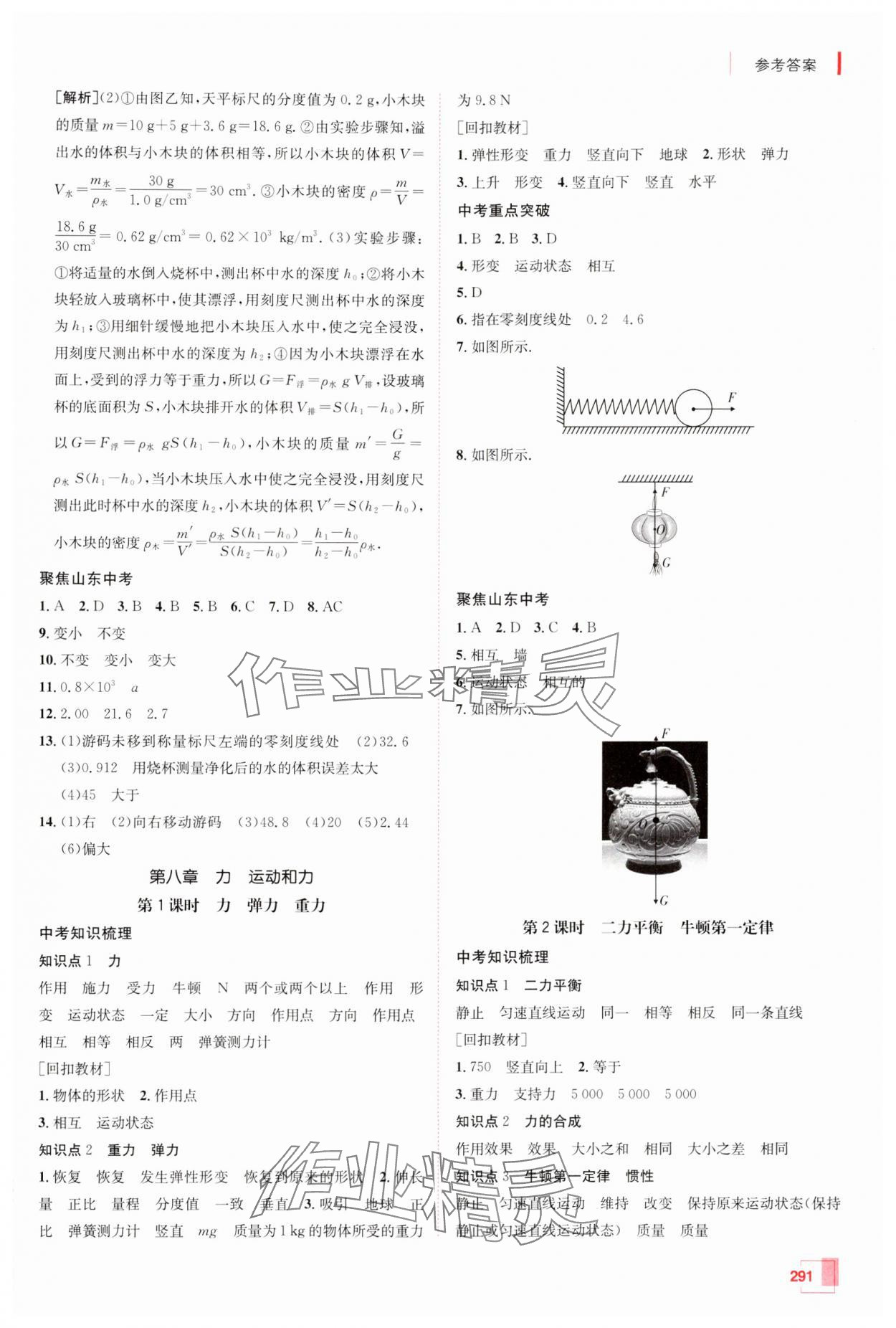 2025年升学锦囊物理山东专版 参考答案第11页