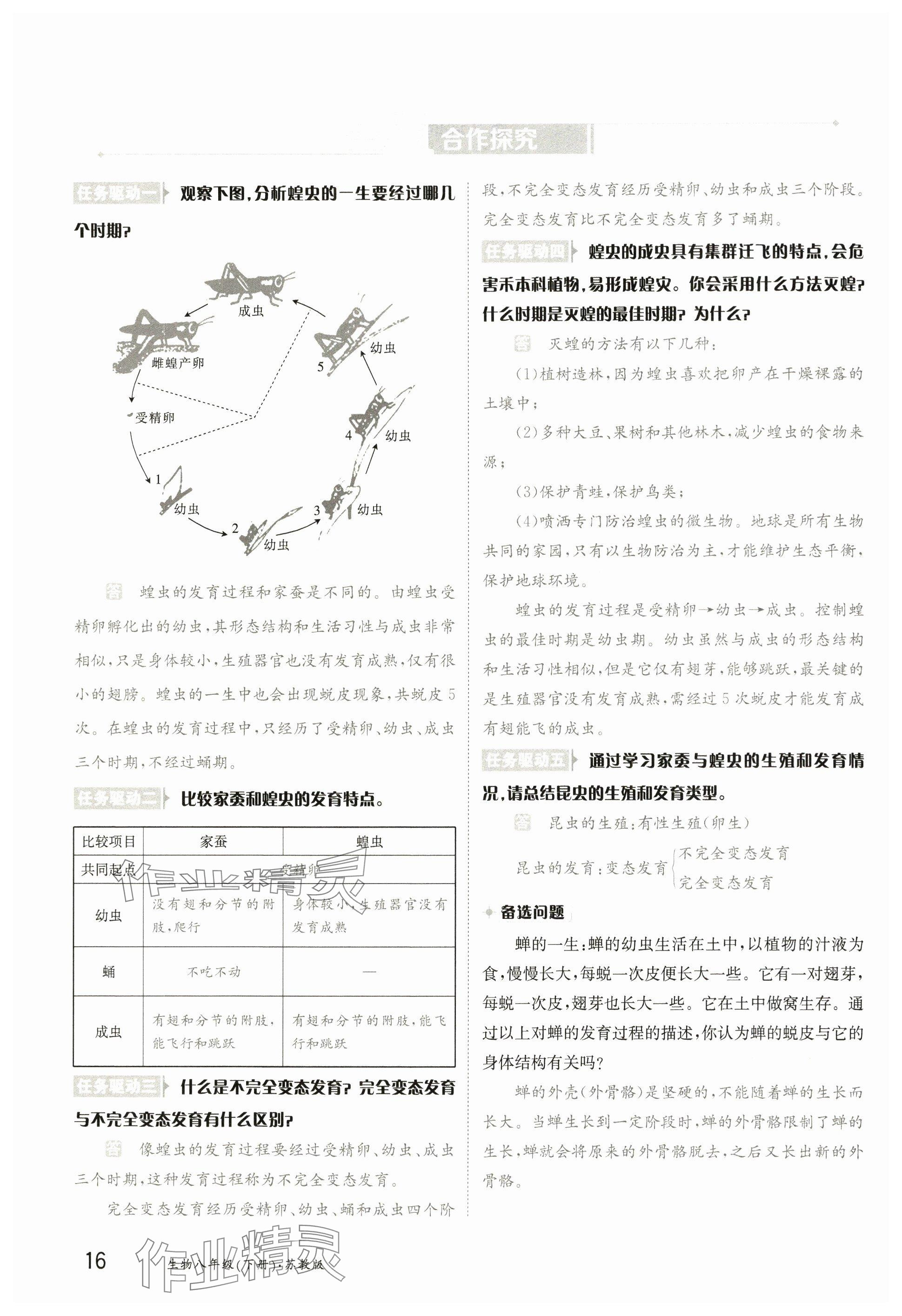 2025年金太陽導學案八年級生物下冊蘇教版 參考答案第15頁