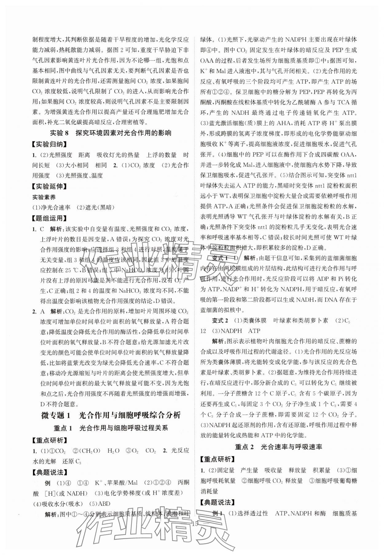 2025年南方凤凰台5A新考案生物江苏专版&nbsp;第15页