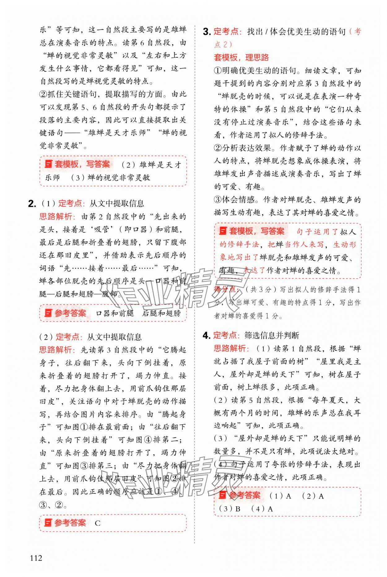 2025年閱讀理解與答題模板三年級語文下冊人教版 參考答案第4頁