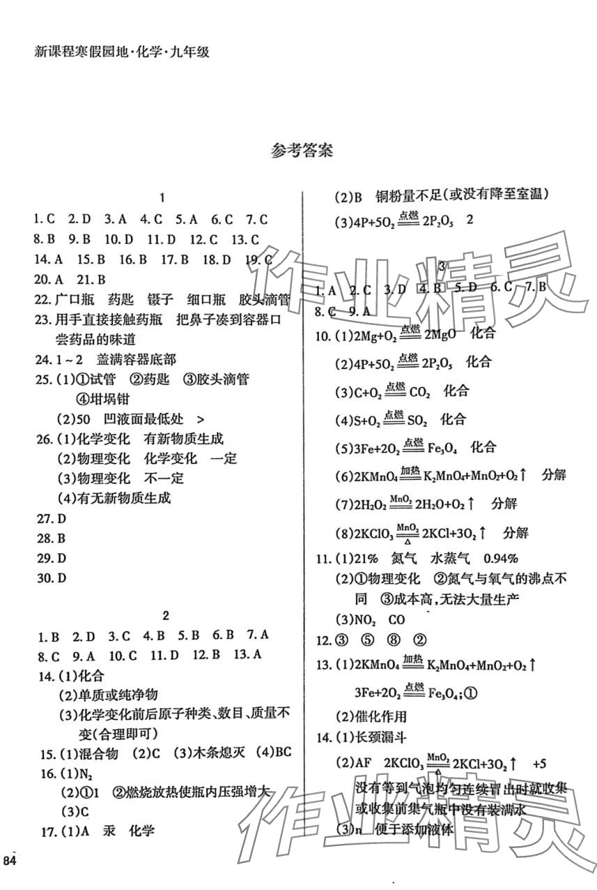 2024年新課程寒假園地九年級(jí)化學(xué) 第1頁