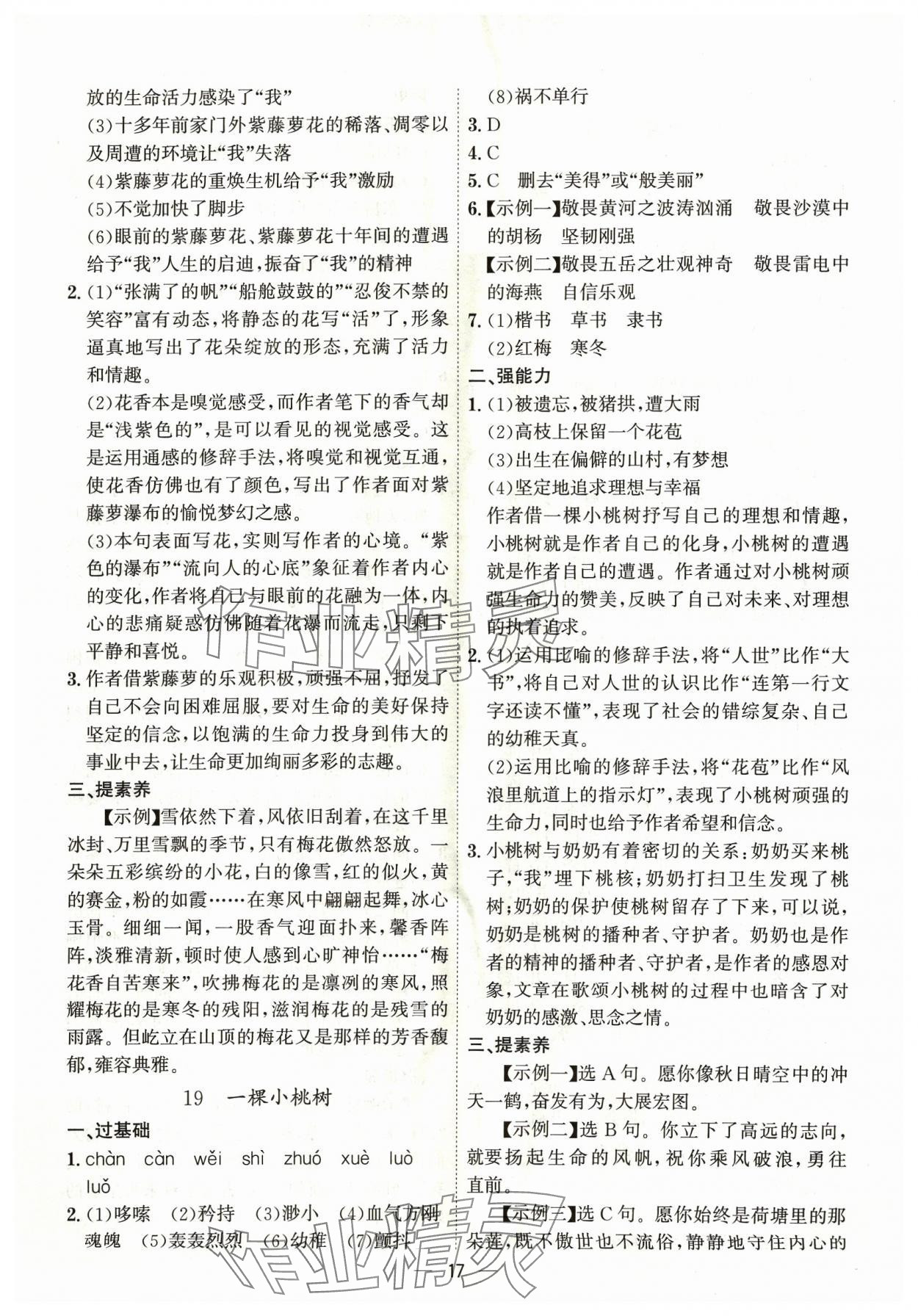 2024年考點專練七年級語文下冊人教版深圳專版 第17頁