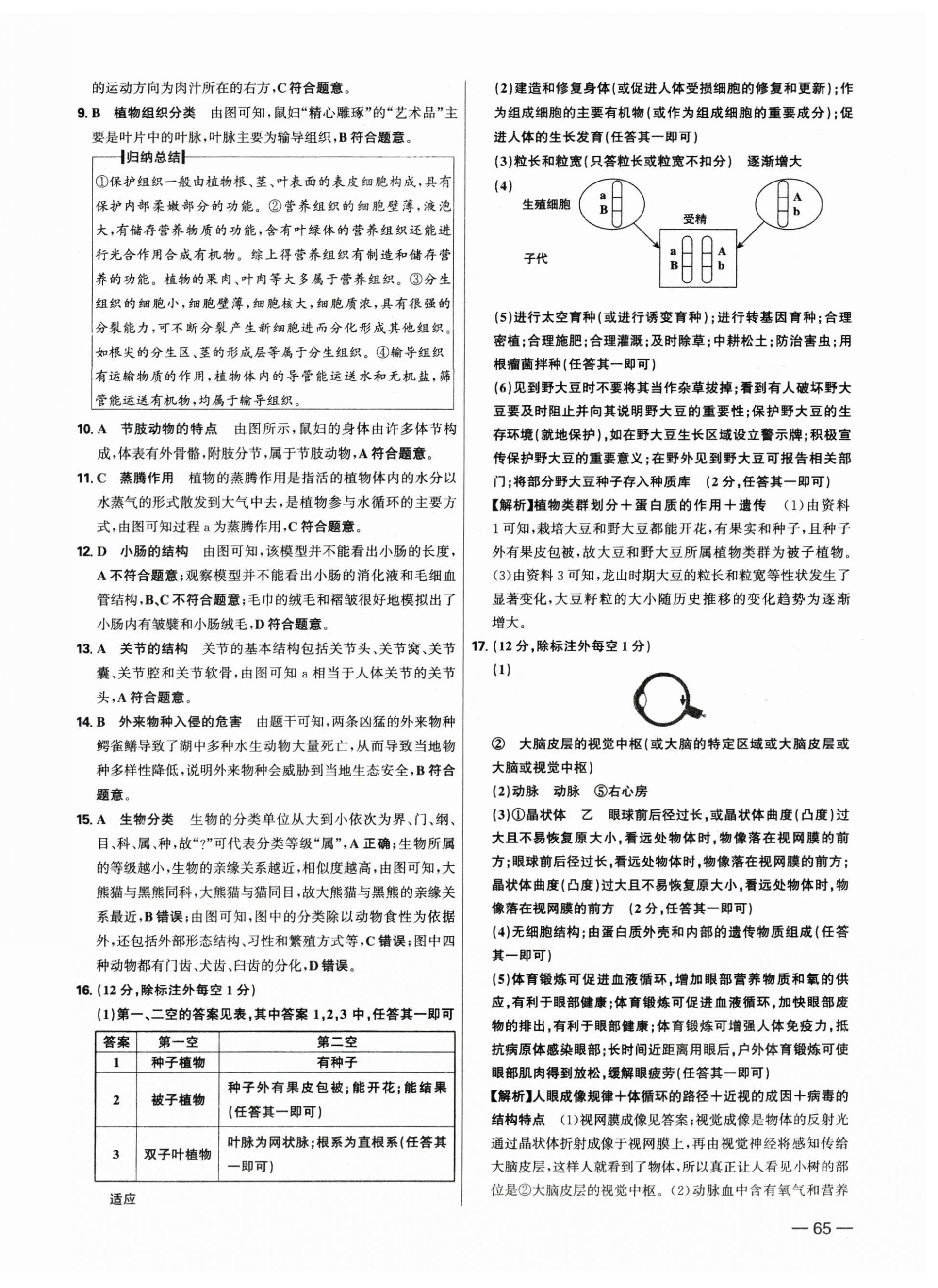 2025年中考试题精选延边出版社生物河北专版&nbsp;参考答案第10页
