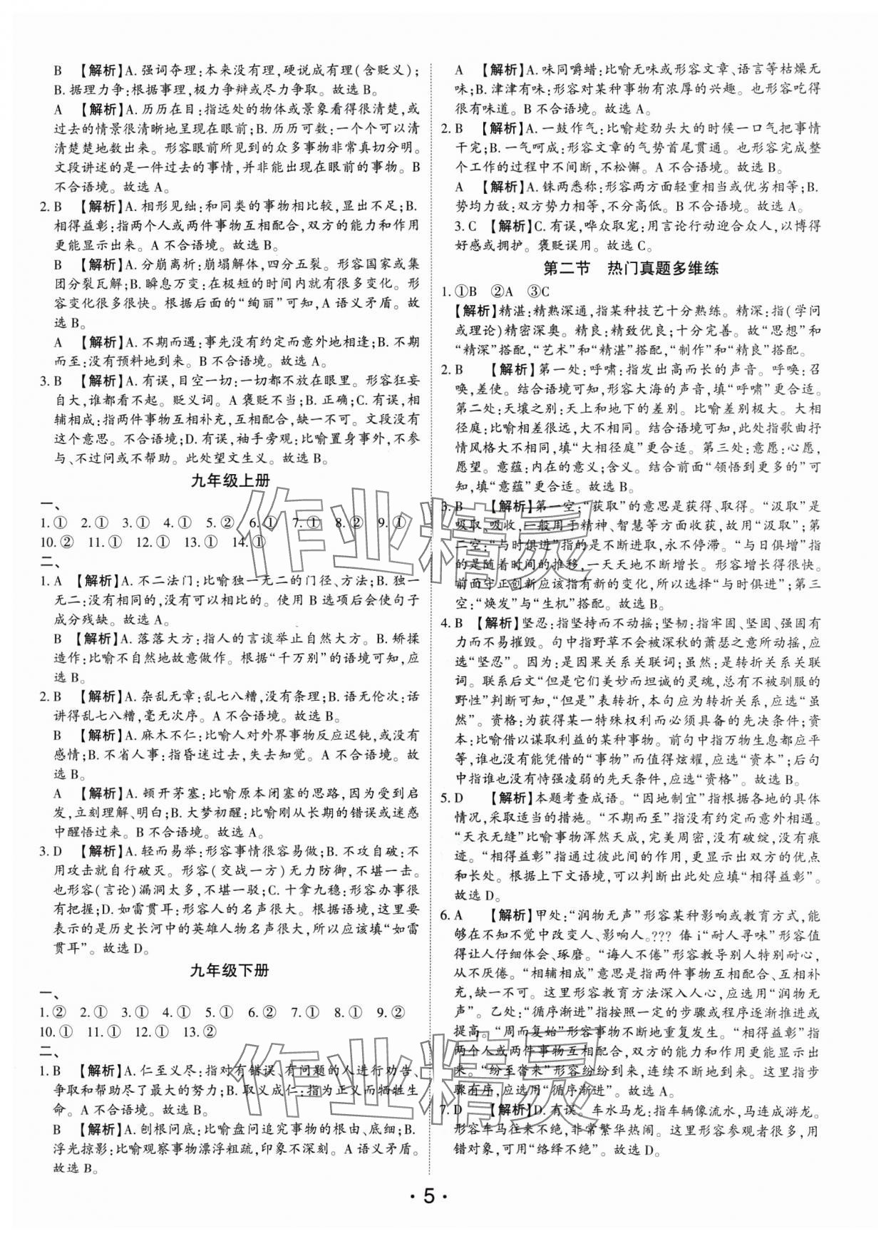 2025年语文总复习深圳专版 第5页