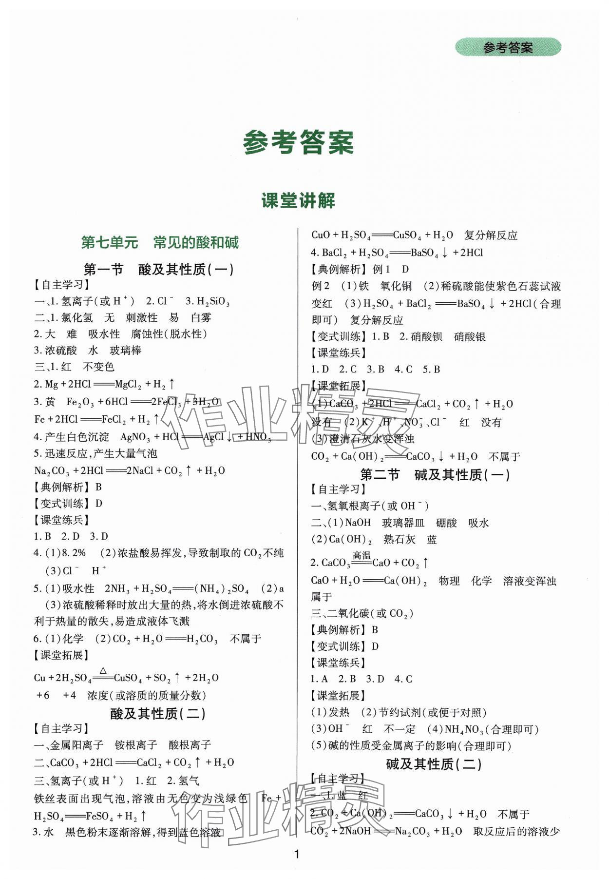 2024年新课程实践与探究丛书九年级化学下册鲁教版 第1页