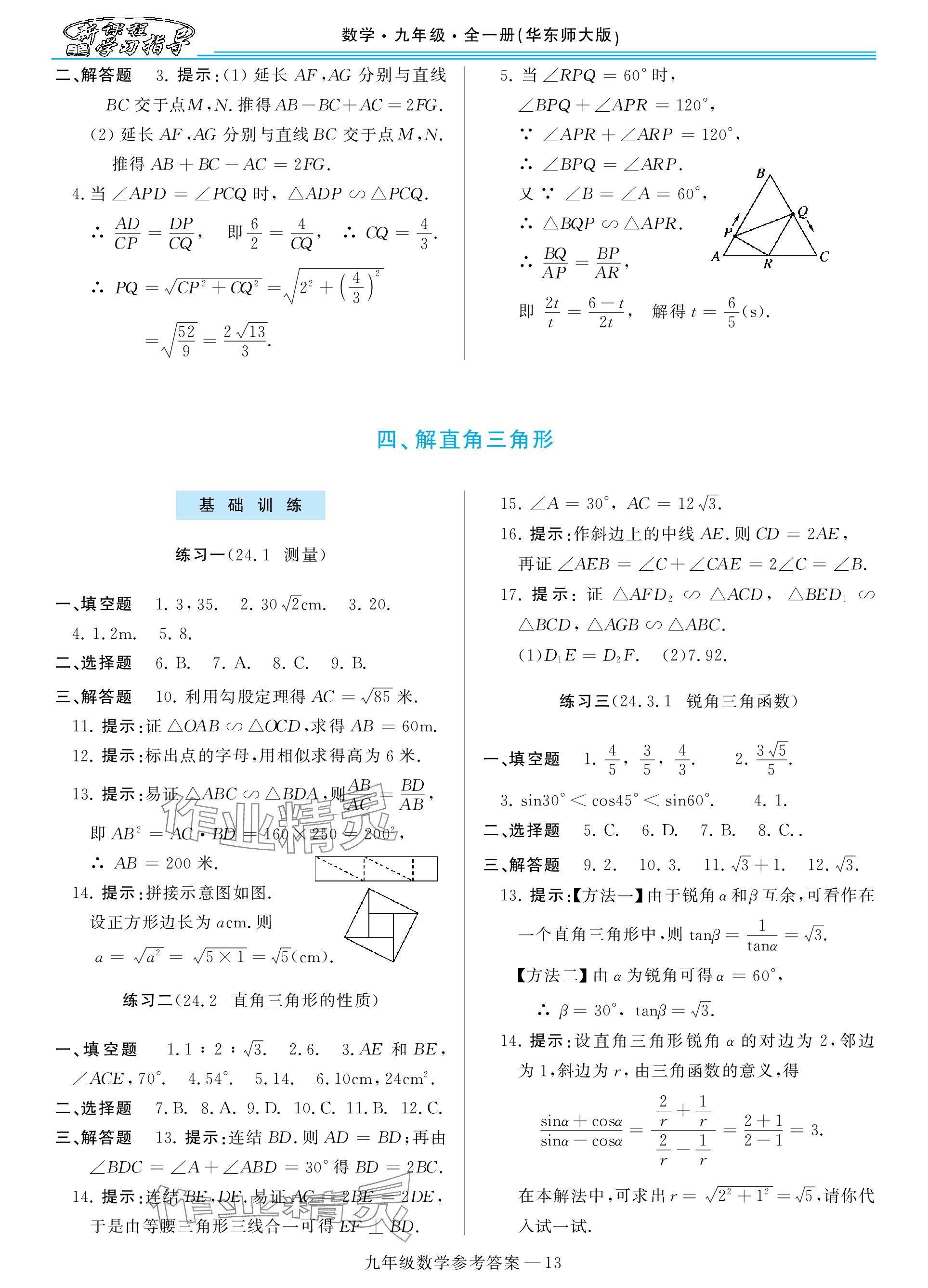 2023年新课程学习指导九年级数学全一册华师大版 参考答案第13页