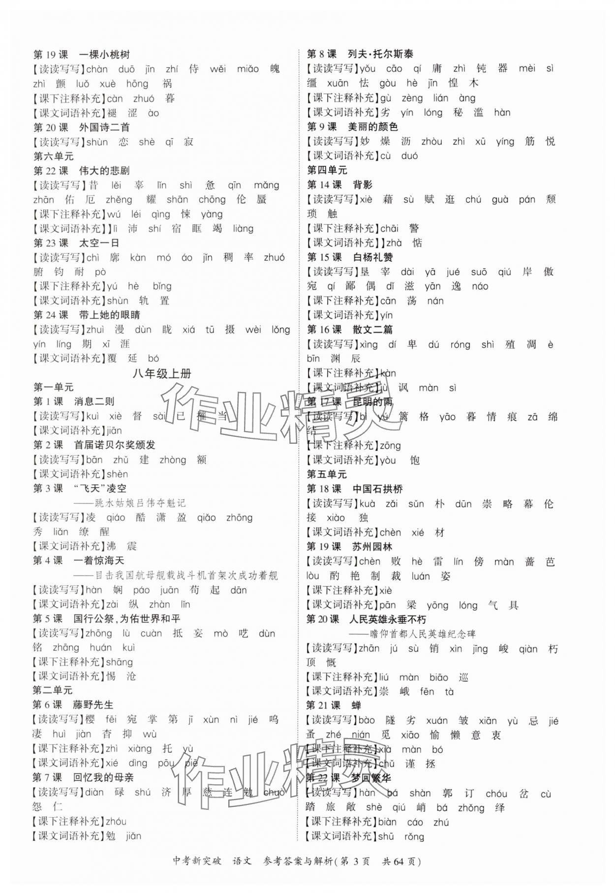 2025年宏閱文化中考新突破語文廣西專版&nbsp;第3頁