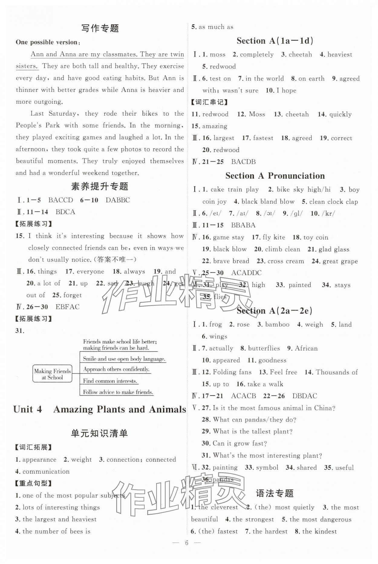 2025年優(yōu)加學(xué)案課時(shí)通八年級(jí)英語(yǔ)上冊(cè)人教版 第6頁(yè)