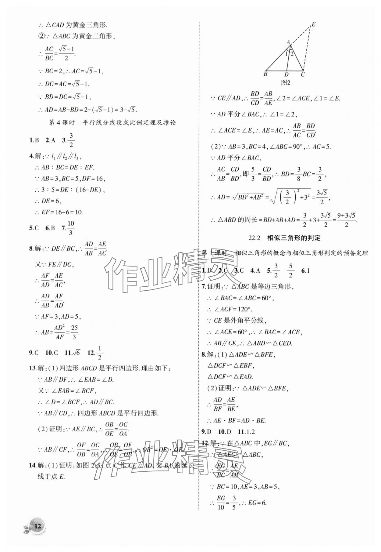 2024年创新课堂创新作业本九年级数学上册沪科版 第12页