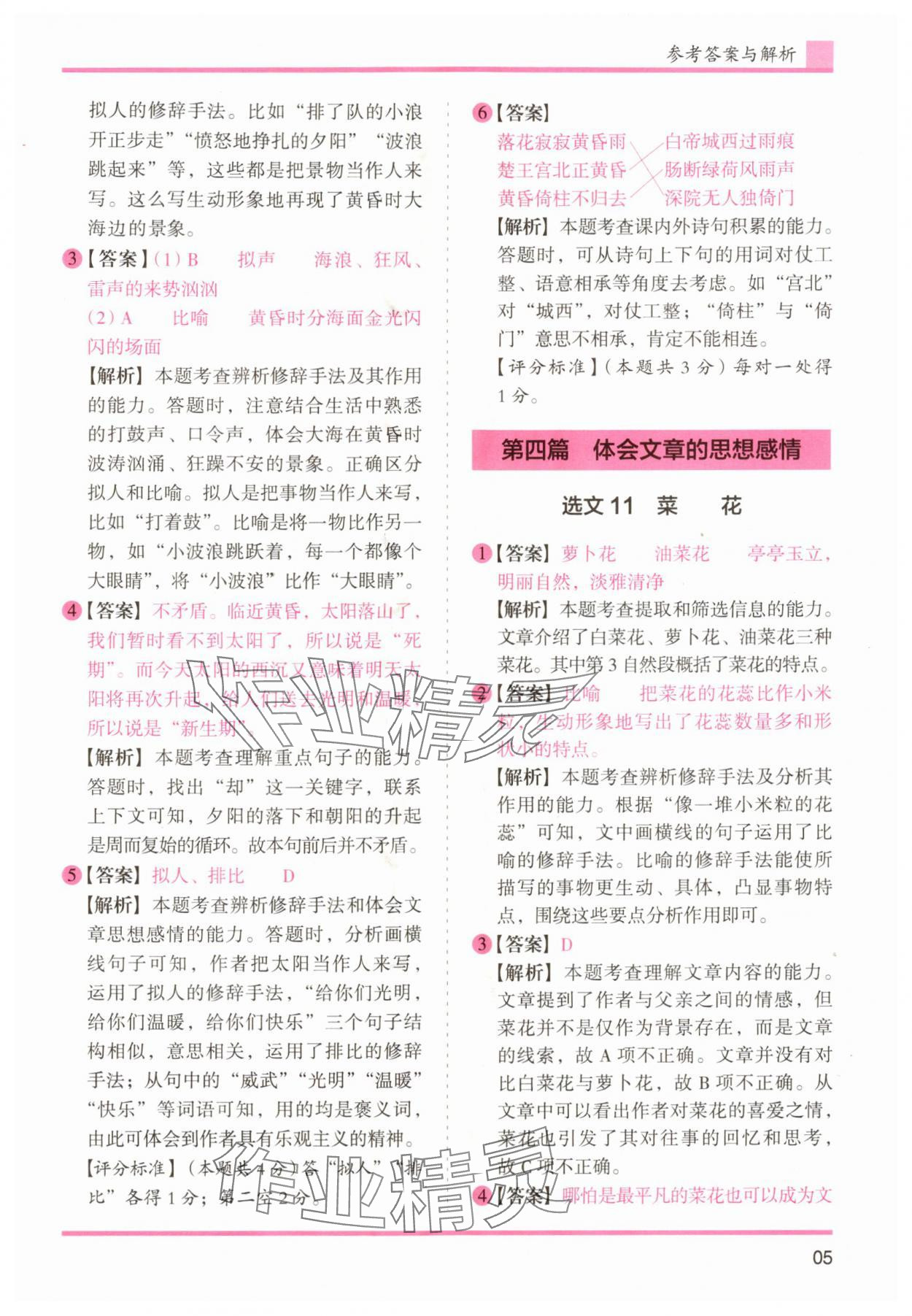 2025年木头马文言文阅读高效训练88篇六年级语文人教版 第5页