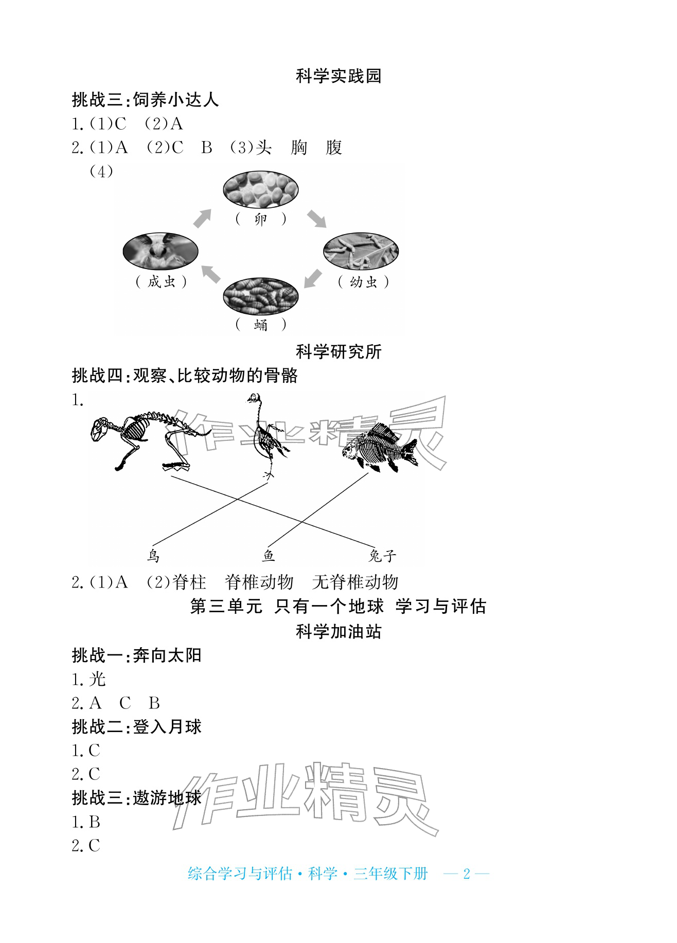 2026年综合学习与评估三年级科学下册教科版&nbsp;参考答案第2页