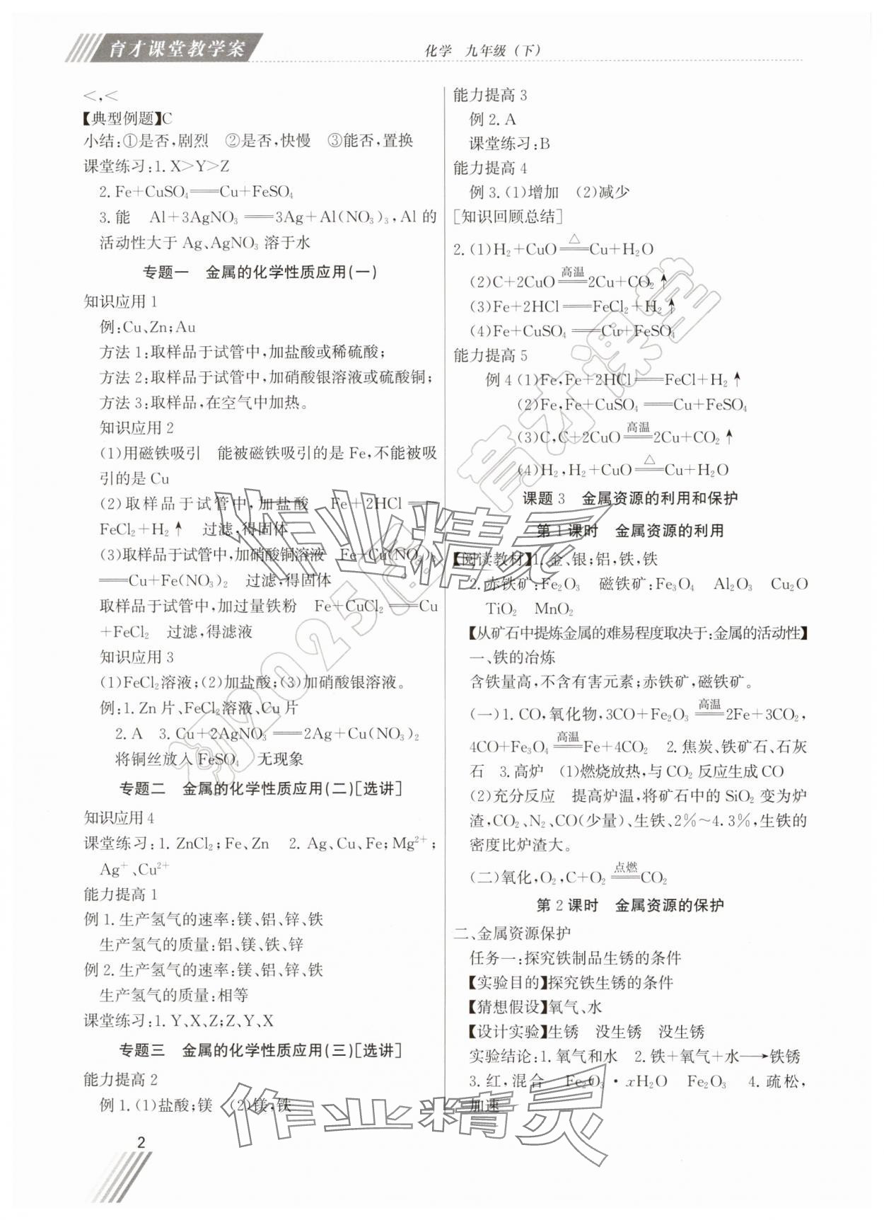 2025年育才课堂教学案九年级化学下册 第2页