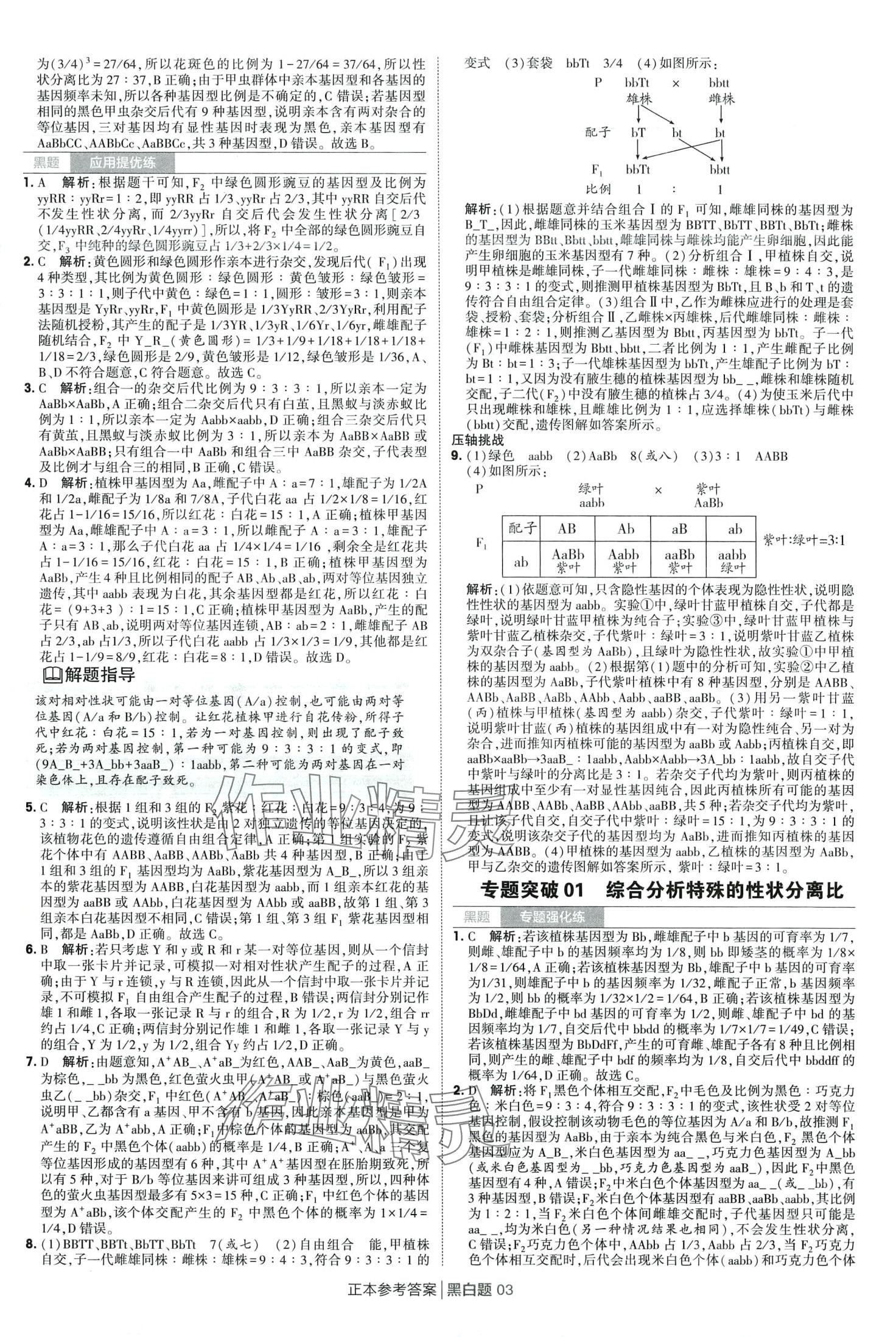 2024年經(jīng)綸學(xué)典黑白題高中生物必修第二冊浙科版 第3頁