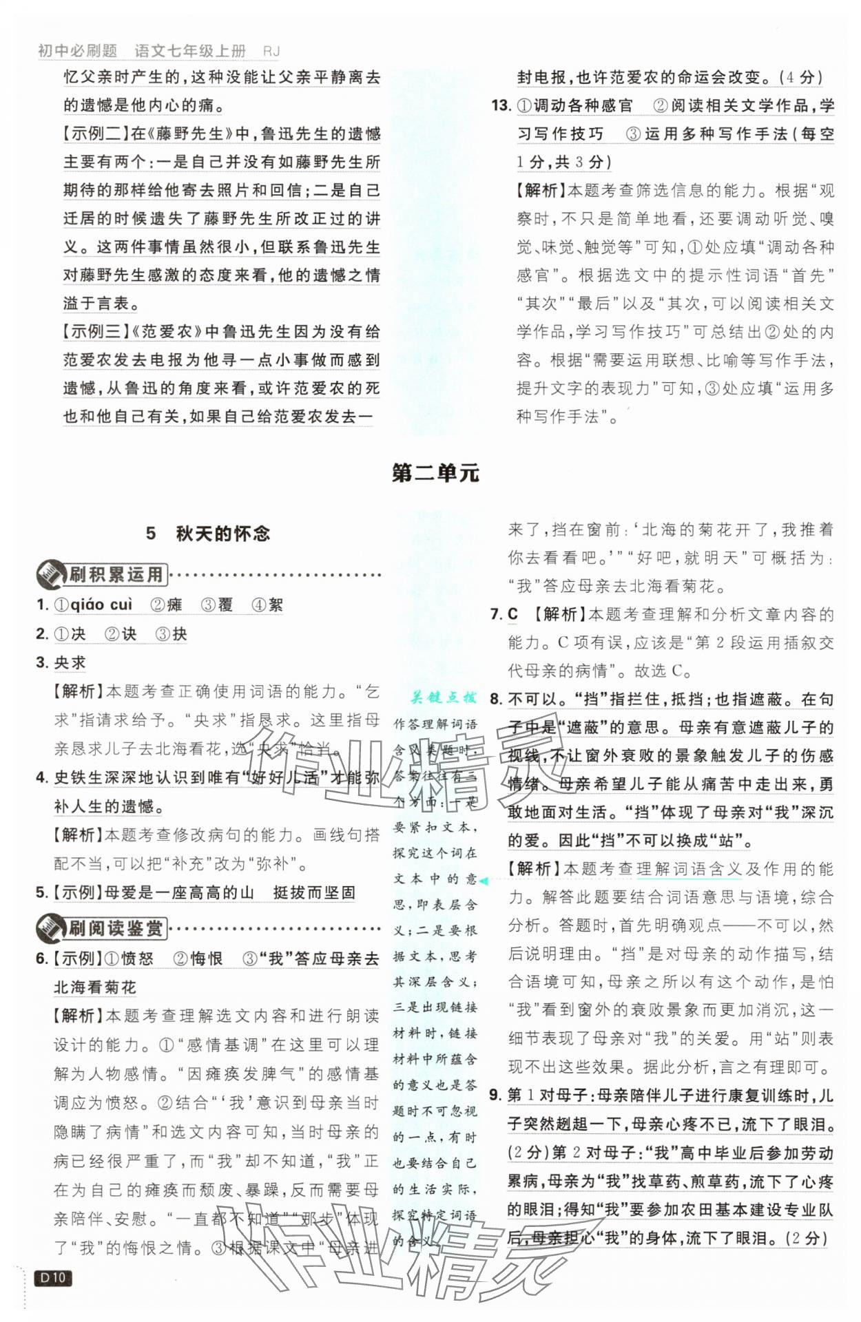 2025年初中必刷題七年級(jí)語(yǔ)文上冊(cè)人教版 第10頁(yè)