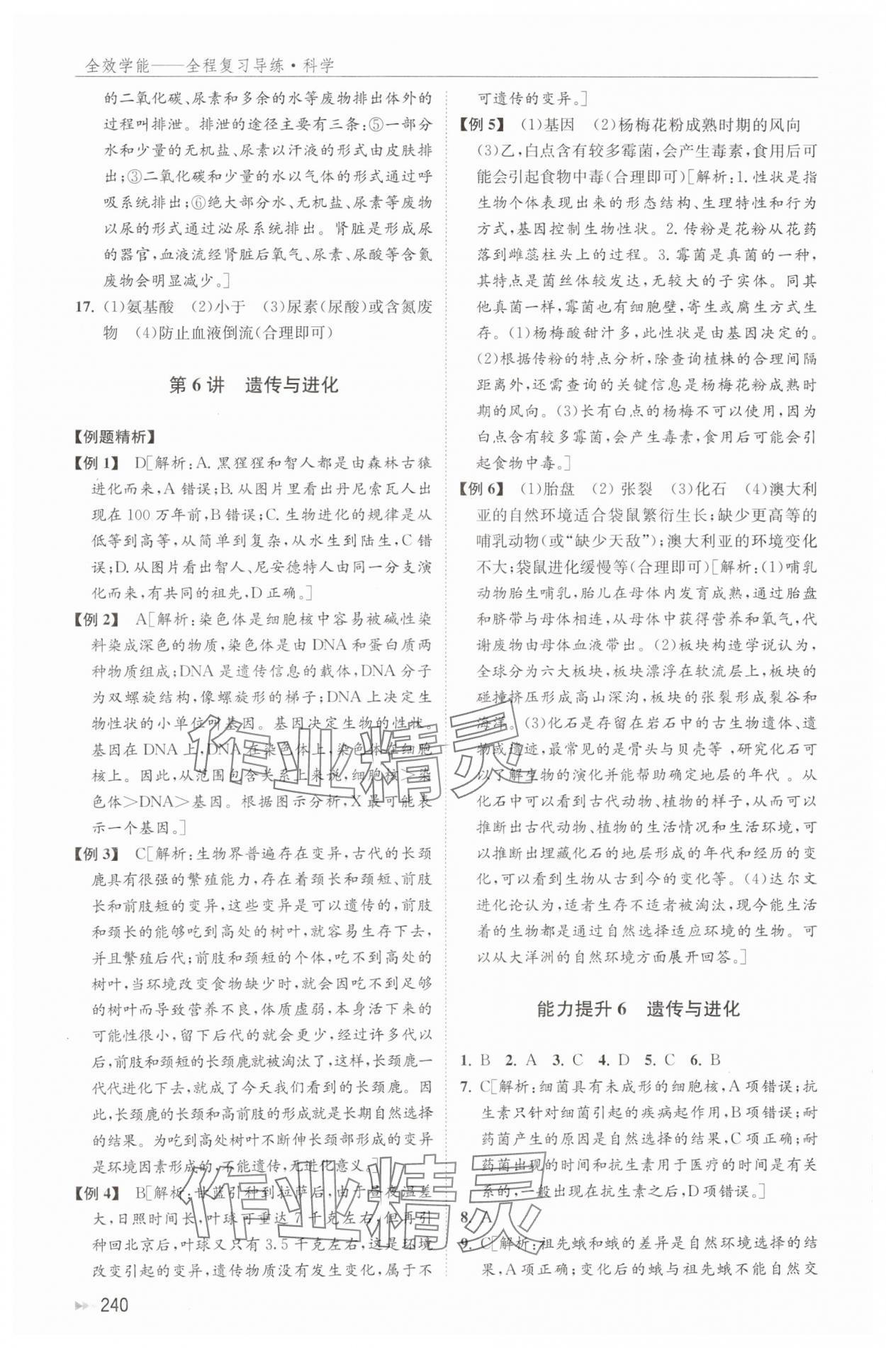 2024年全效學能全程復習導練中考科學 參考答案第8頁