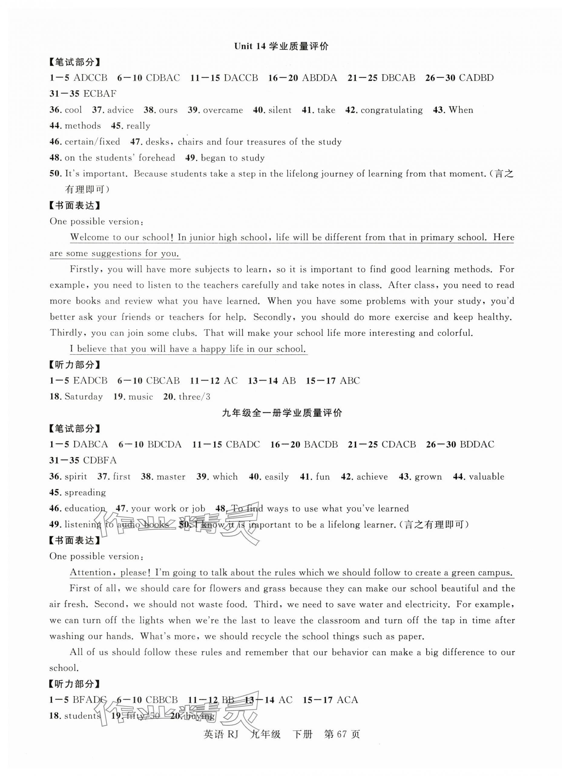 2025年课时夺冠九年级英语下册人教版 第11页