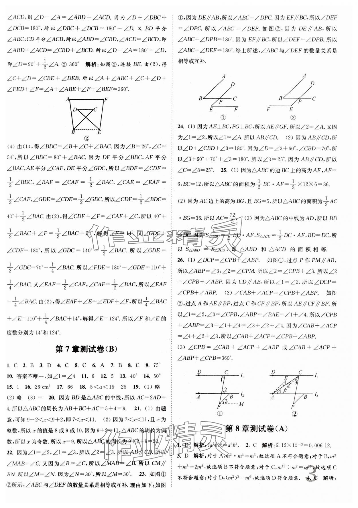 2024年江苏密卷七年级数学下册江苏版 第3页