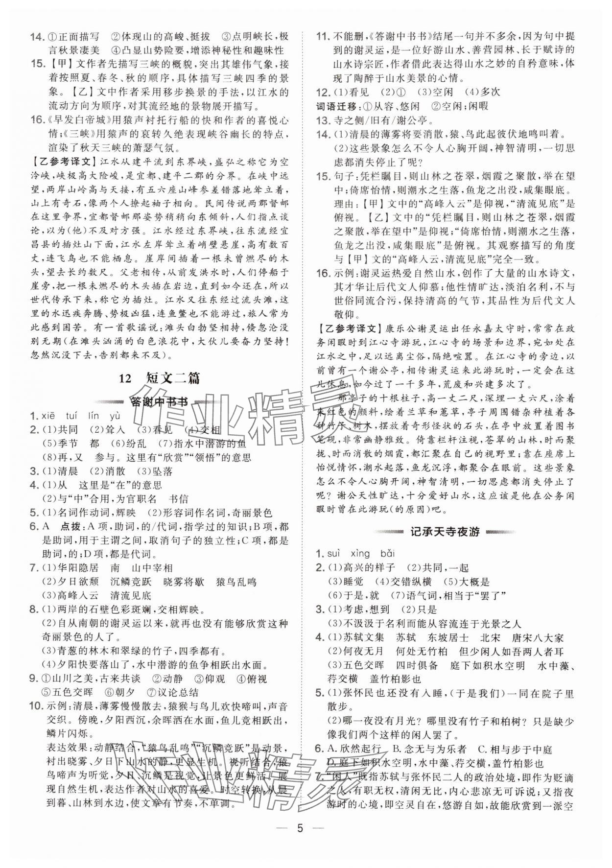 2025年点拨训练八年级语文上册人教版安徽专版 第5页