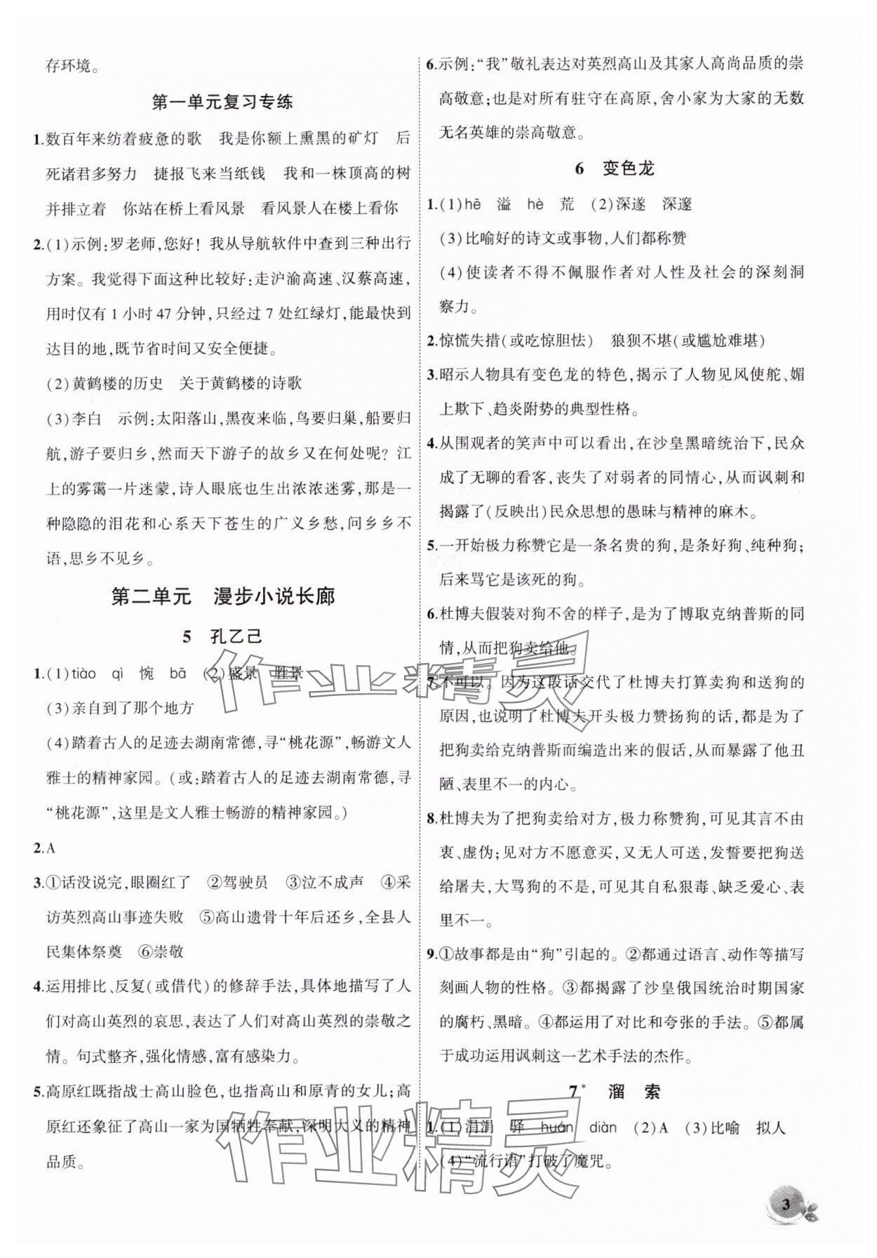 2025年創(chuàng)新課堂創(chuàng)新作業(yè)本九年級語文下冊人教版 第3頁