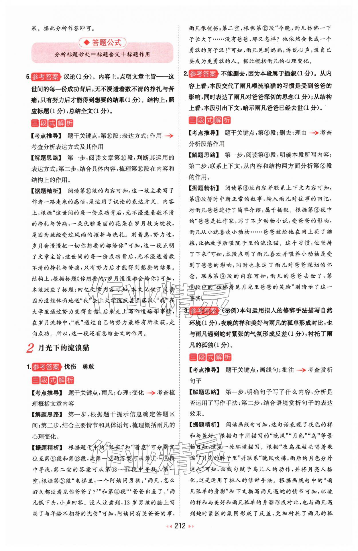 2026年一本中考现代文阅读技能训练100篇 第2页