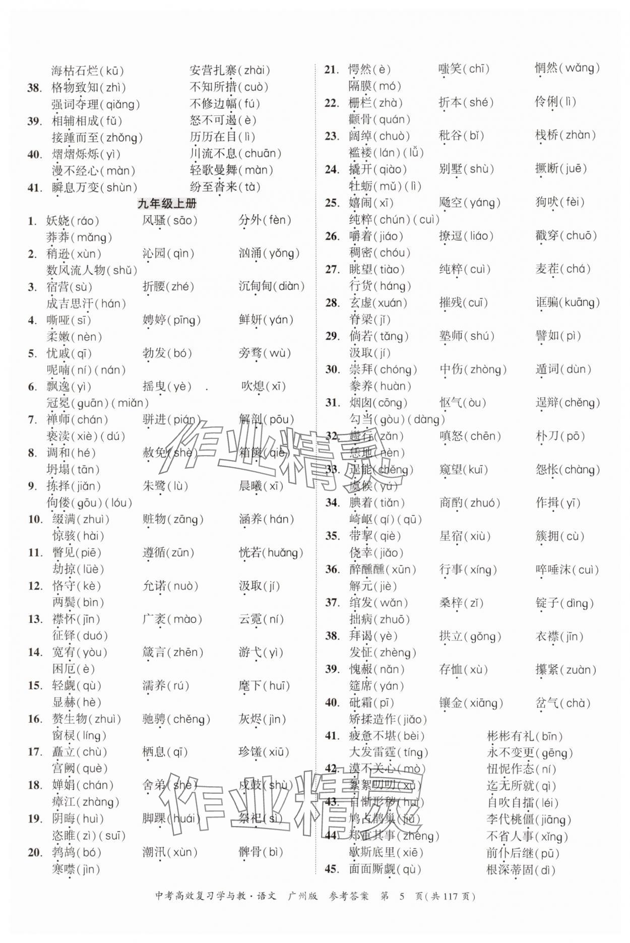 2024年中考高效復習學與教語文廣州專版 參考答案第5頁