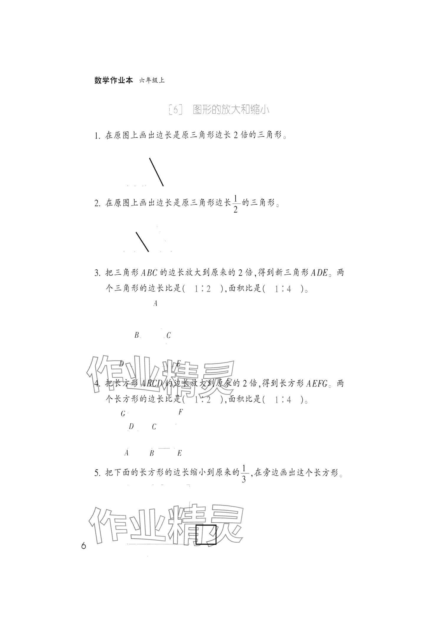 2024年作業(yè)本浙江教育出版社六年級(jí)數(shù)學(xué)上冊浙教版 參考答案第6頁