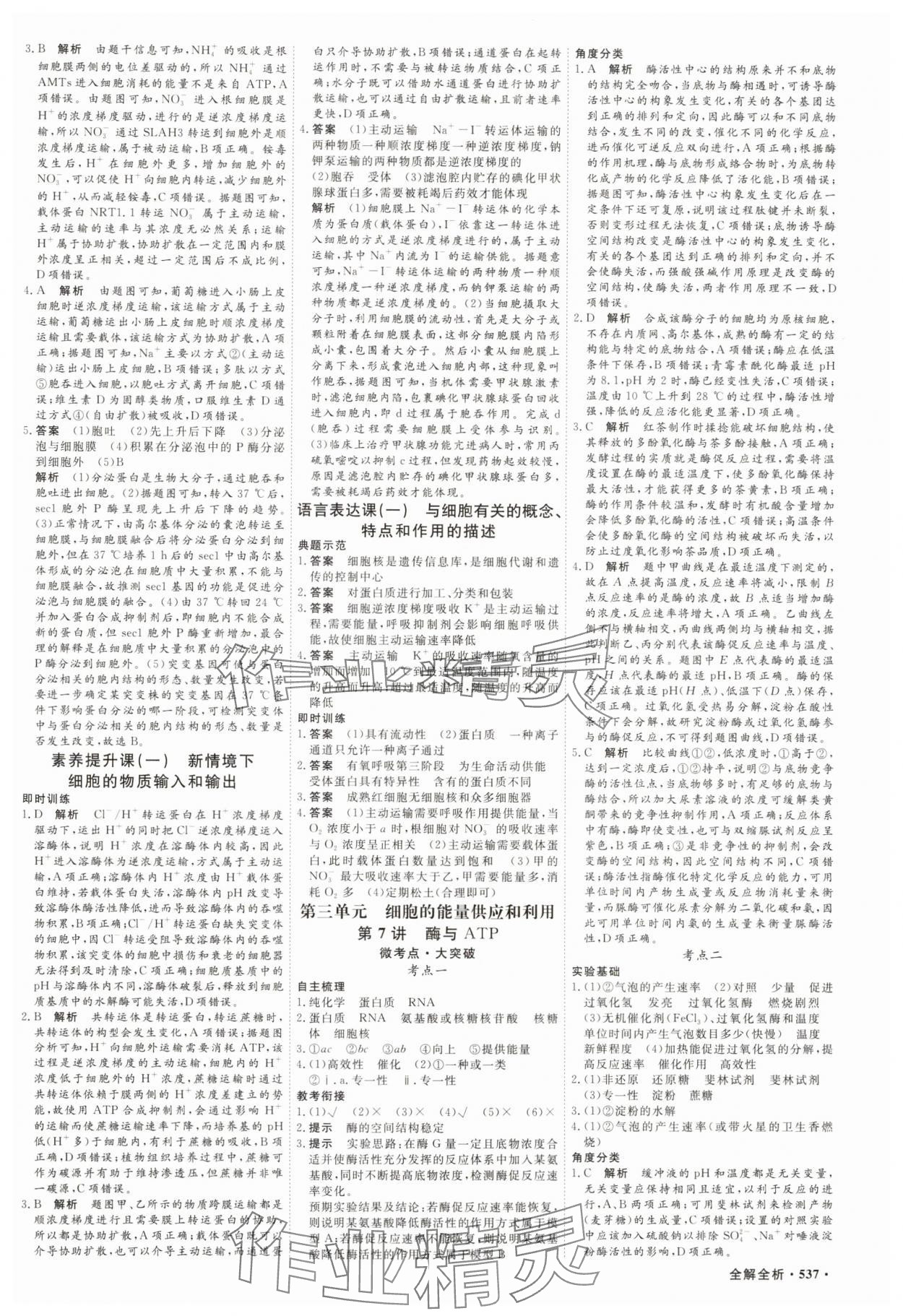 2025年贏在微點高中生物 參考答案第6頁