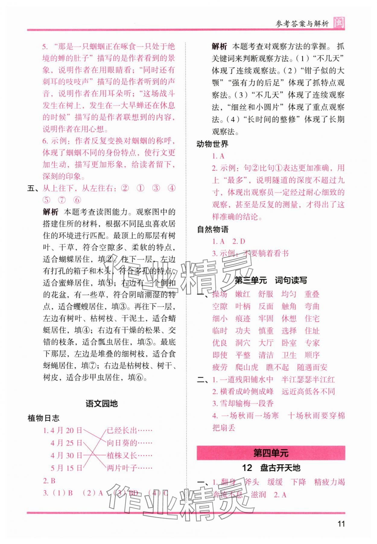 2025年木头马分层课课练四年级语文上册人教版福建专版 第11页