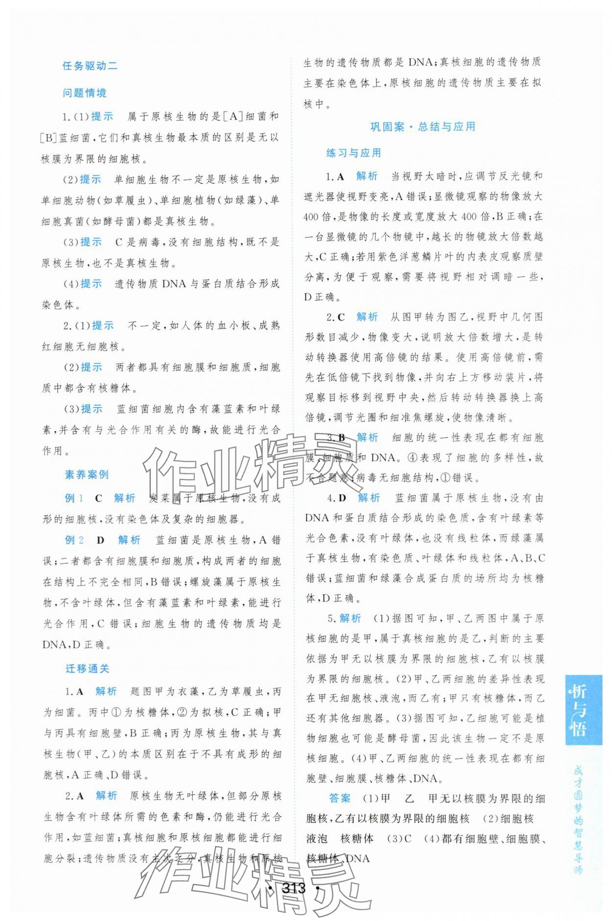 2023年新課程學習與測評生物必修1人教版 參考答案第4頁