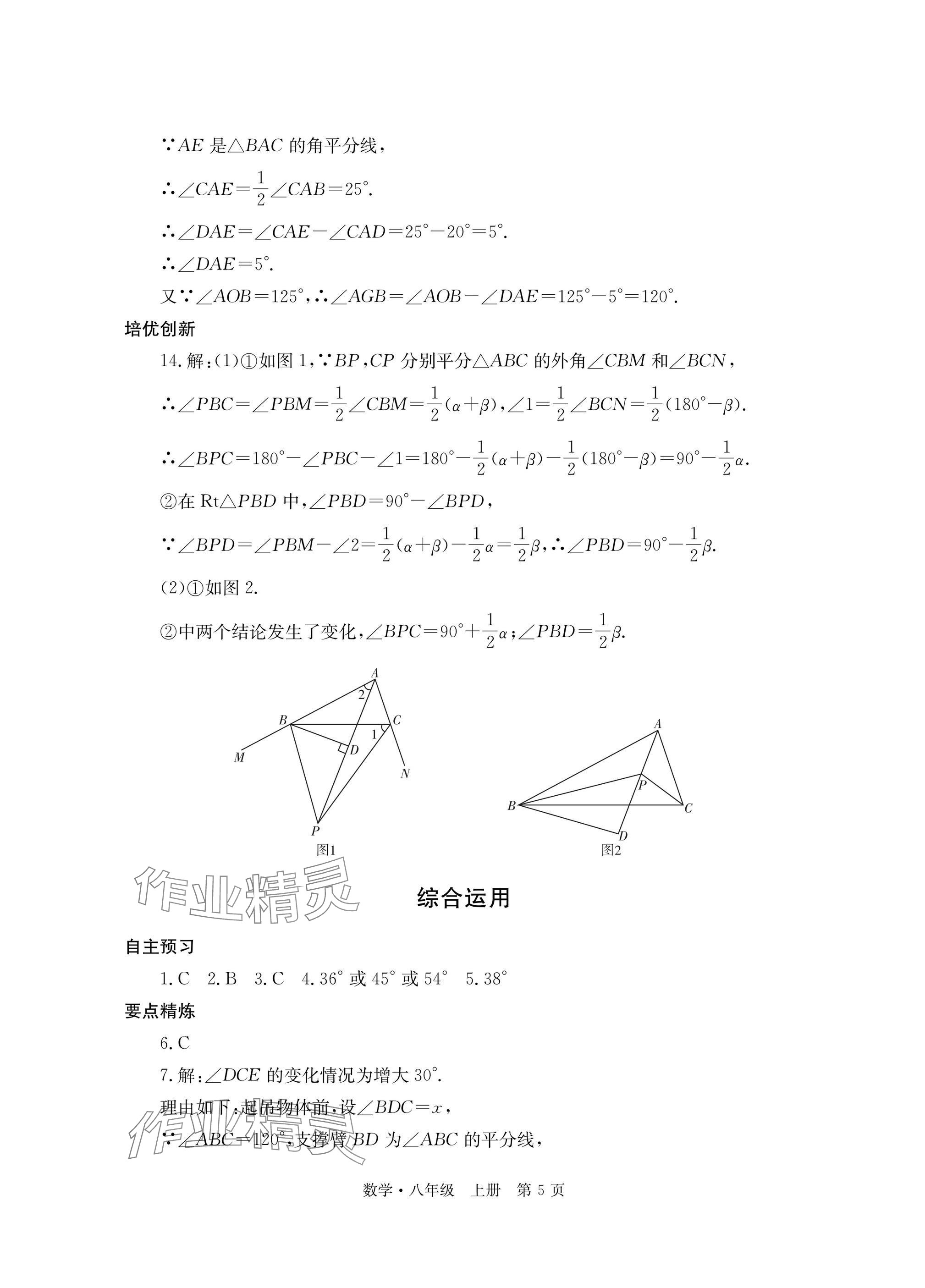 2025年自主学习指导课程与测试八年级数学上册人教版 参考答案第5页