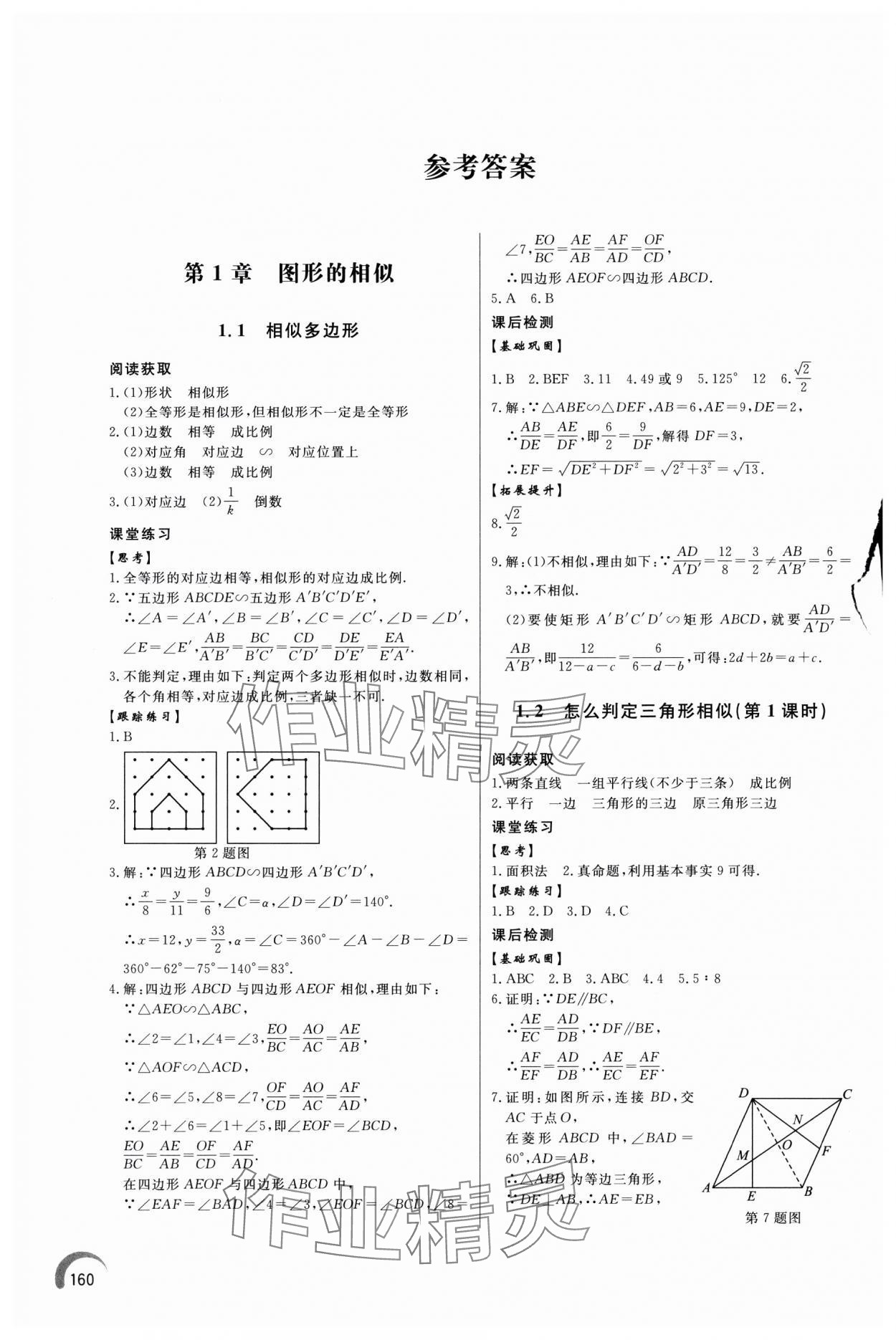 2024年同步練習(xí)冊泰山出版社九年級數(shù)學(xué)上冊青島版 參考答案第1頁