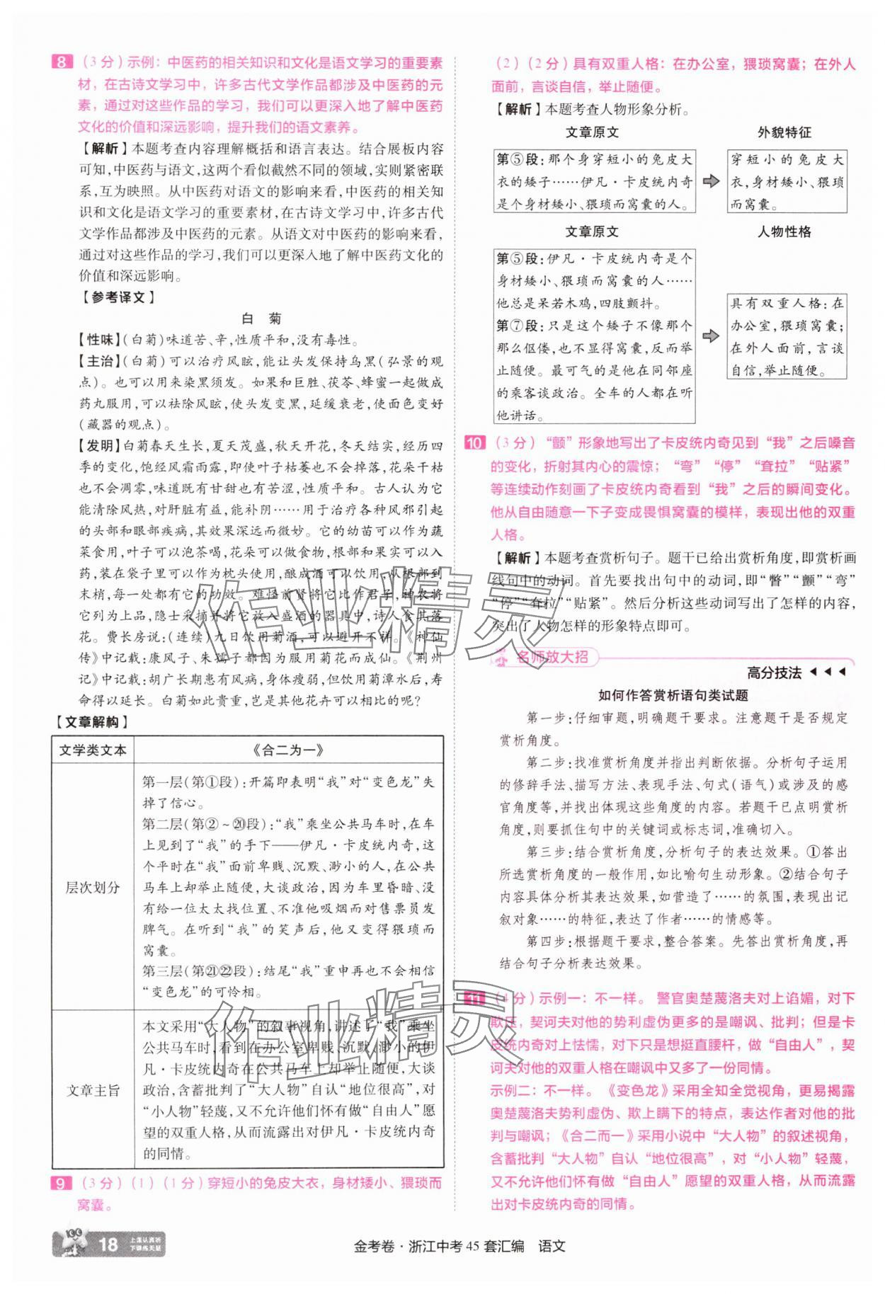 2025年金考卷浙江中考45套匯編語文浙江專版 參考答案第18頁