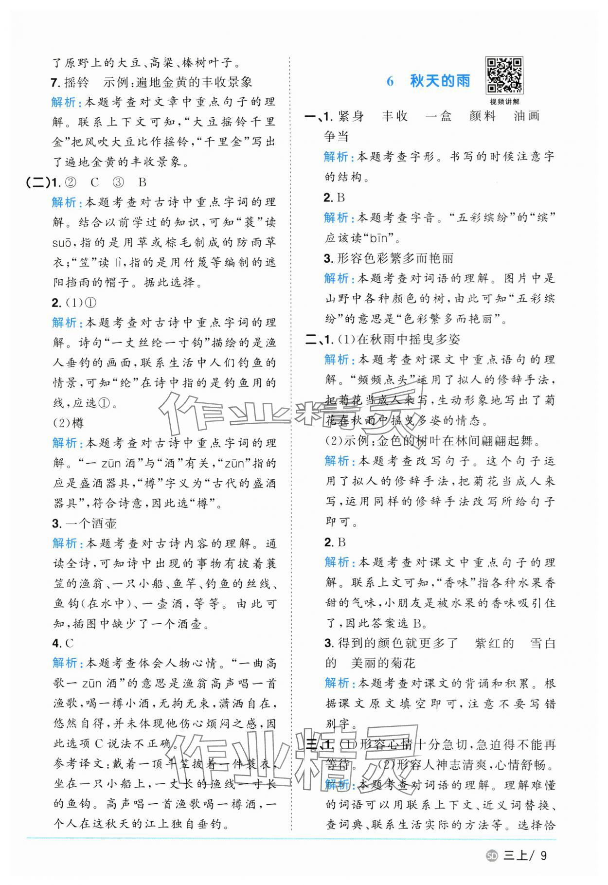 2024年陽光同學(xué)課時優(yōu)化作業(yè)三年級語文上冊人教版菏澤專版 第9頁