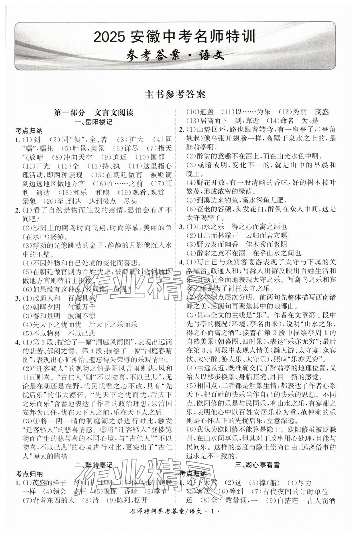 2025年名師特訓語文安徽專版 第1頁