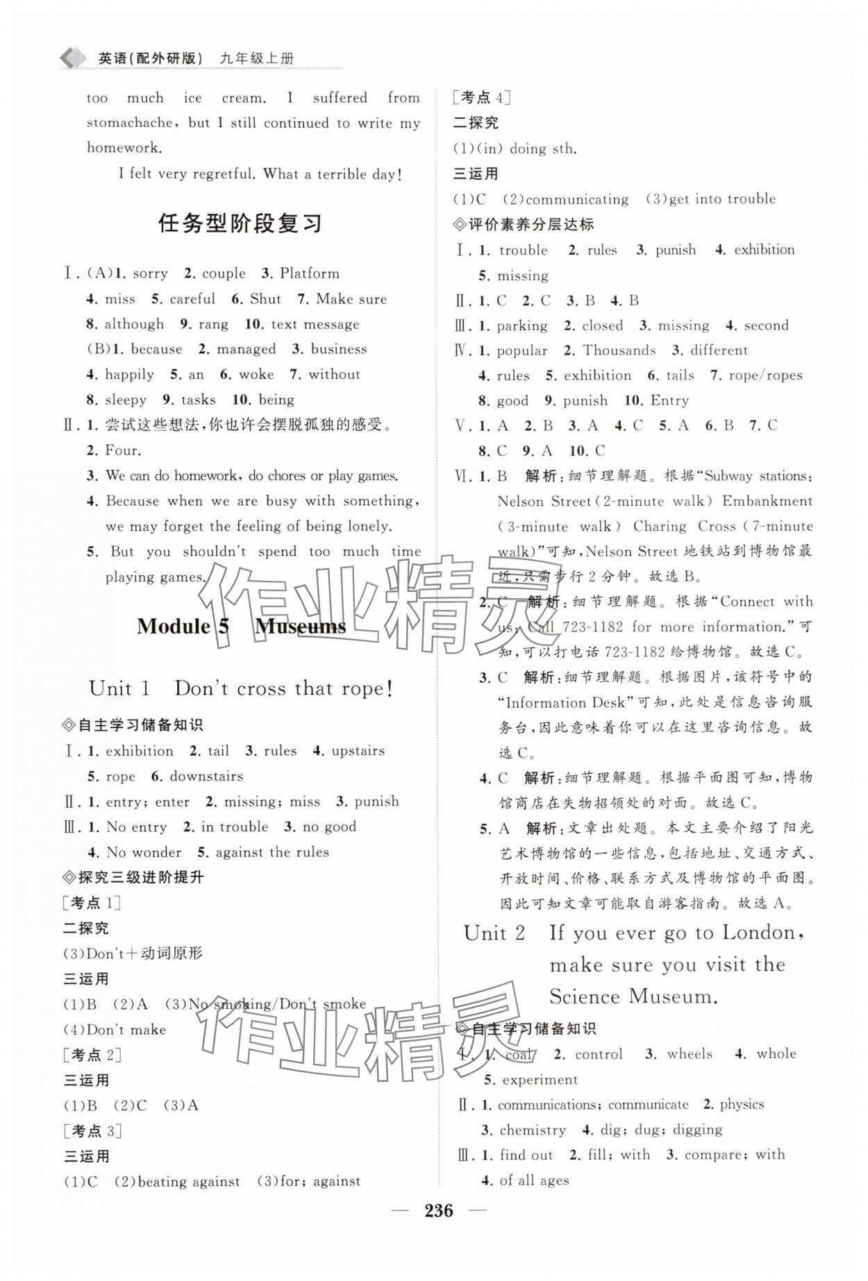 2025年新课程同步练习册九年级英语上册外研版&nbsp;第10页