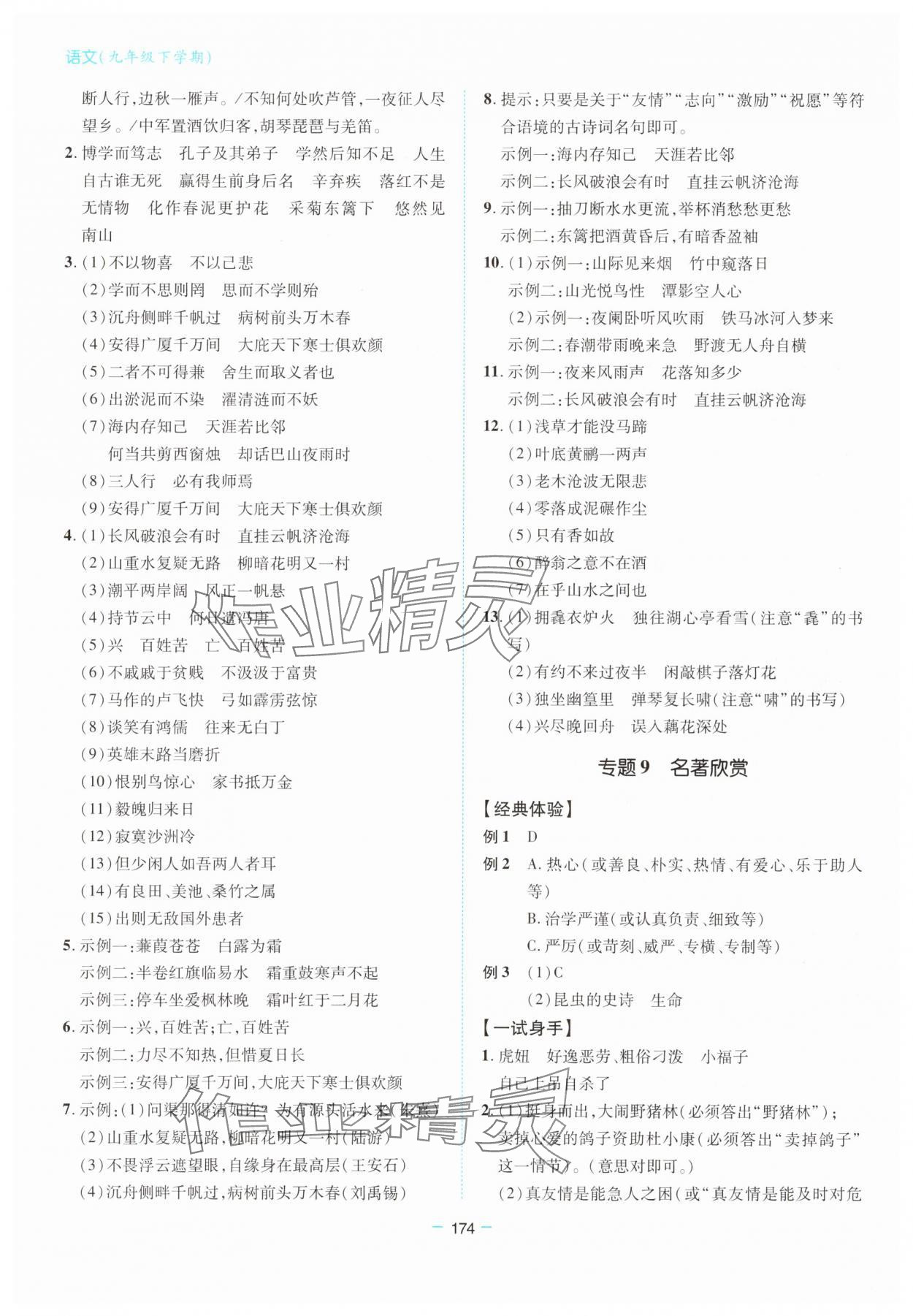 2025年新課堂同步學習與探究九年級語文下冊人教版金鄉(xiāng)專版 參考答案第3頁