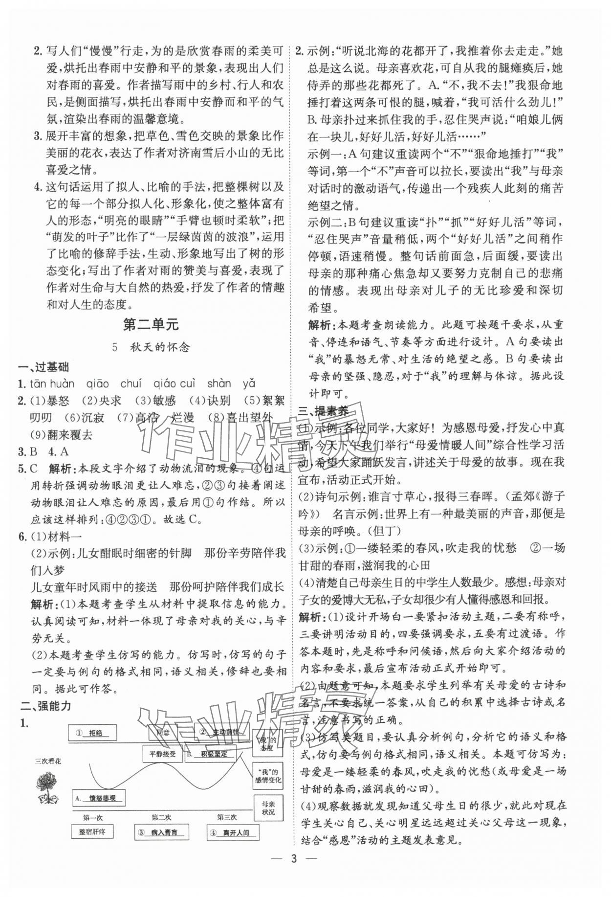 2024年考點專練七年級語文上冊人教版深圳專版 參考答案第3頁