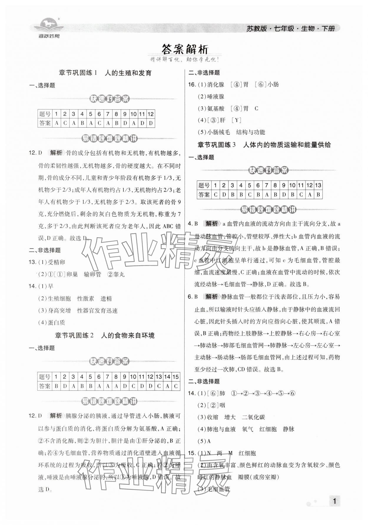 2024年期末考试必刷卷七年级生物下册苏科版洛阳专版 第1页