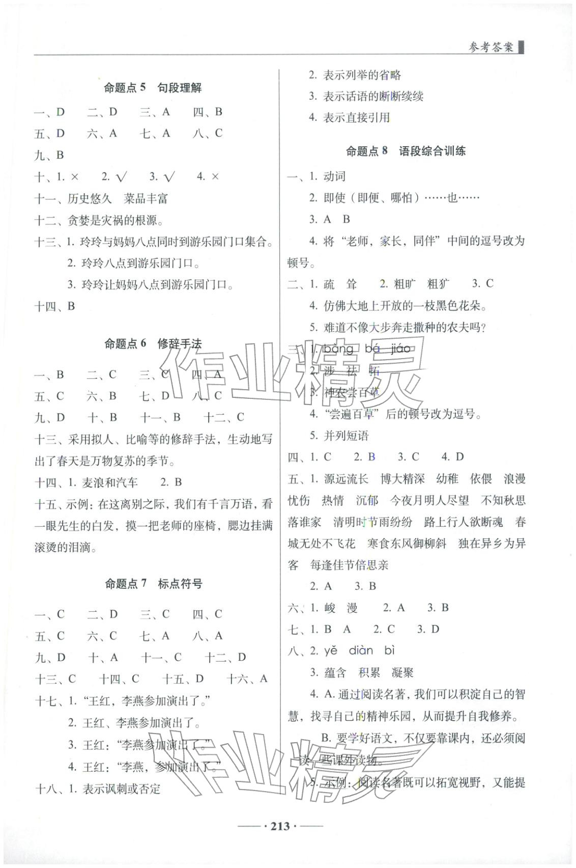 2026年68所名校图书小升初真题分类卷六年级语文 第6页