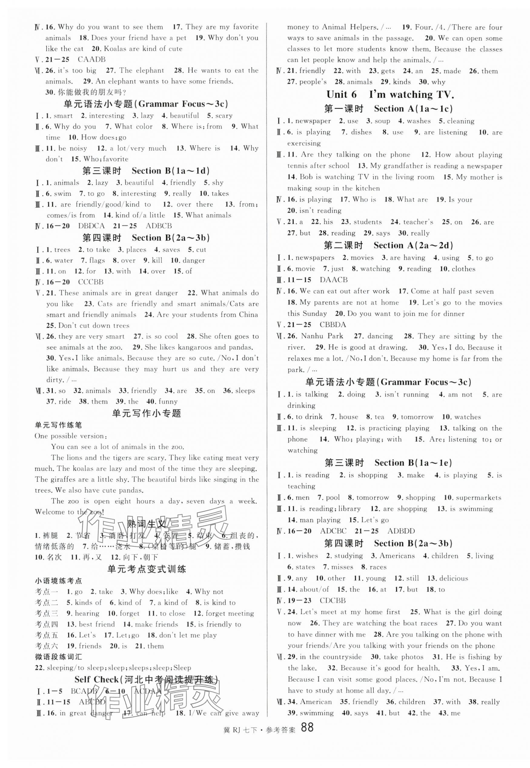 2024年名校課堂七年級(jí)英語(yǔ)下冊(cè)人教版河北專(zhuān)版 第4頁(yè)