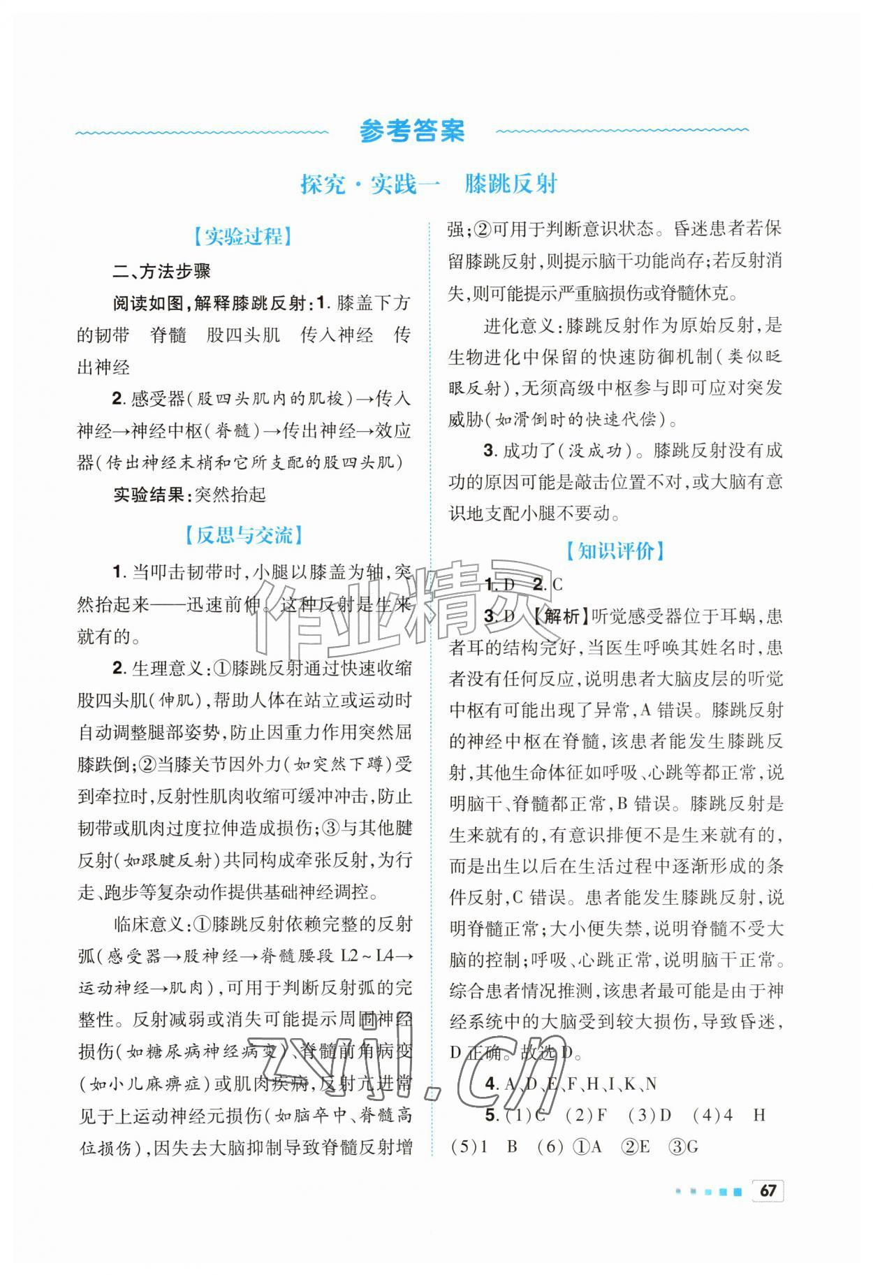 2026年初中实验探究报告册八年级生物上册人教版&nbsp;第1页