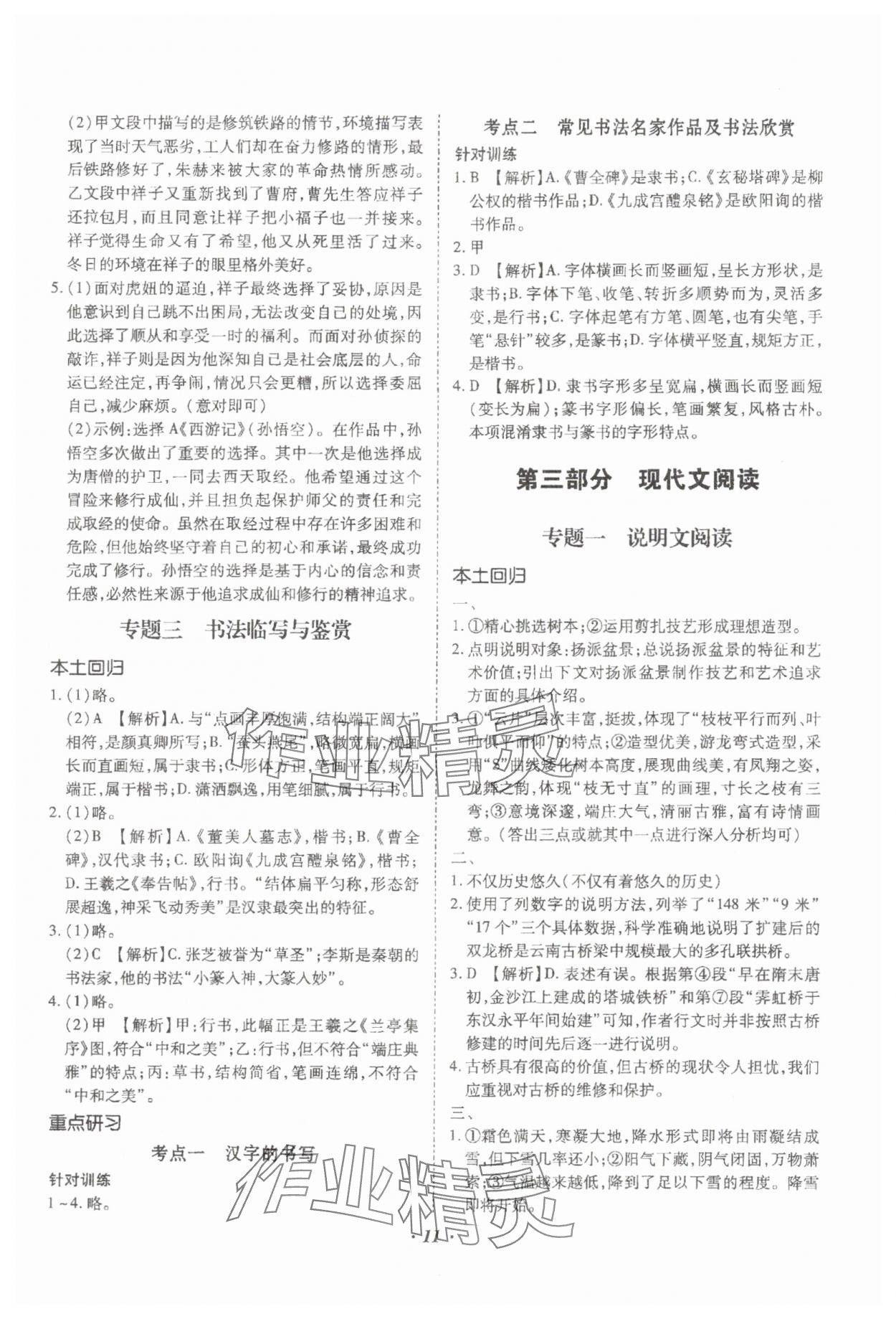 2024年本土攻略精準復(fù)習方案語文云南專版 參考答案第11頁